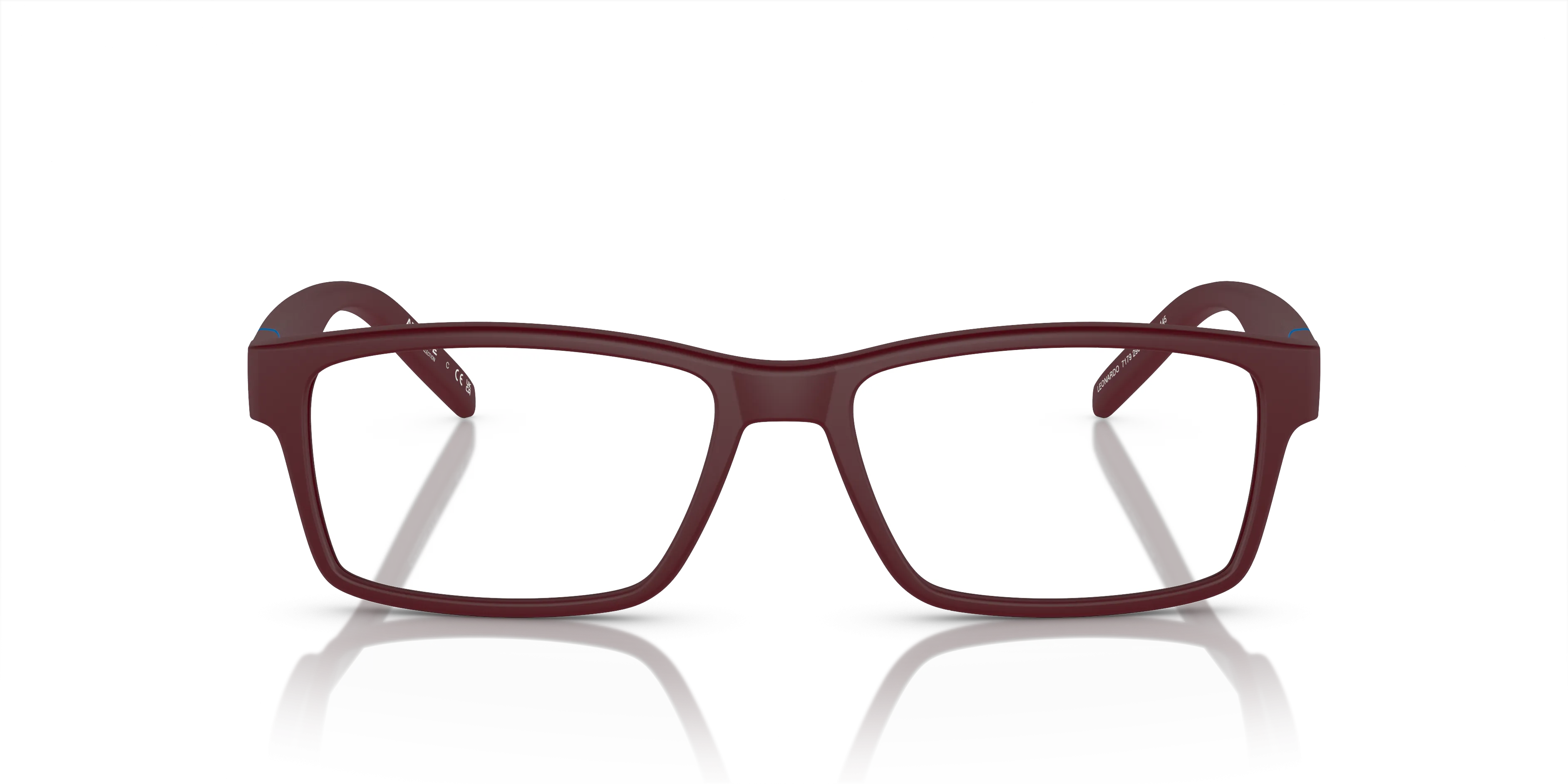 Arnette Leonardo AN7179 2905