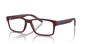 Arnette Leonardo AN7179 2905