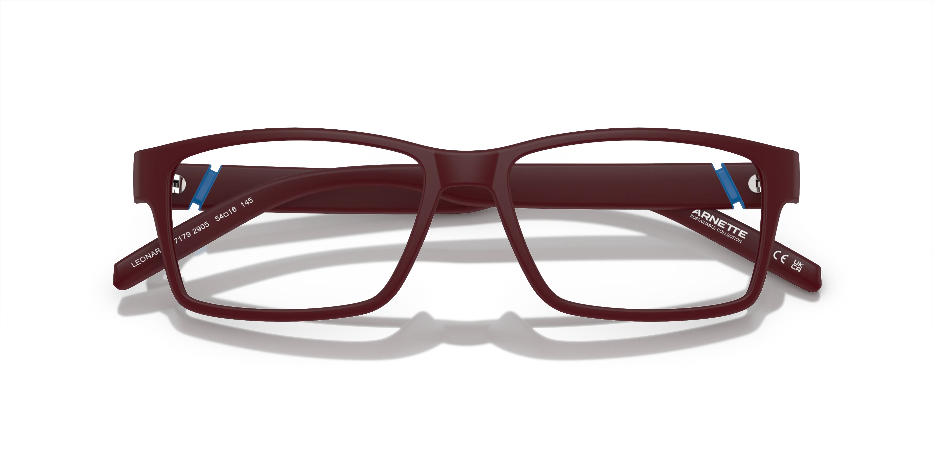 Arnette Leonardo AN7179 2905