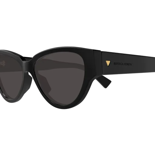 Bottega Veneta BV1319S 001