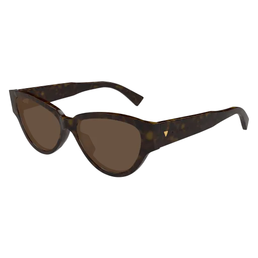 Bottega Veneta BV1319S 002