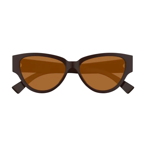 Bottega Veneta BV1319S 003