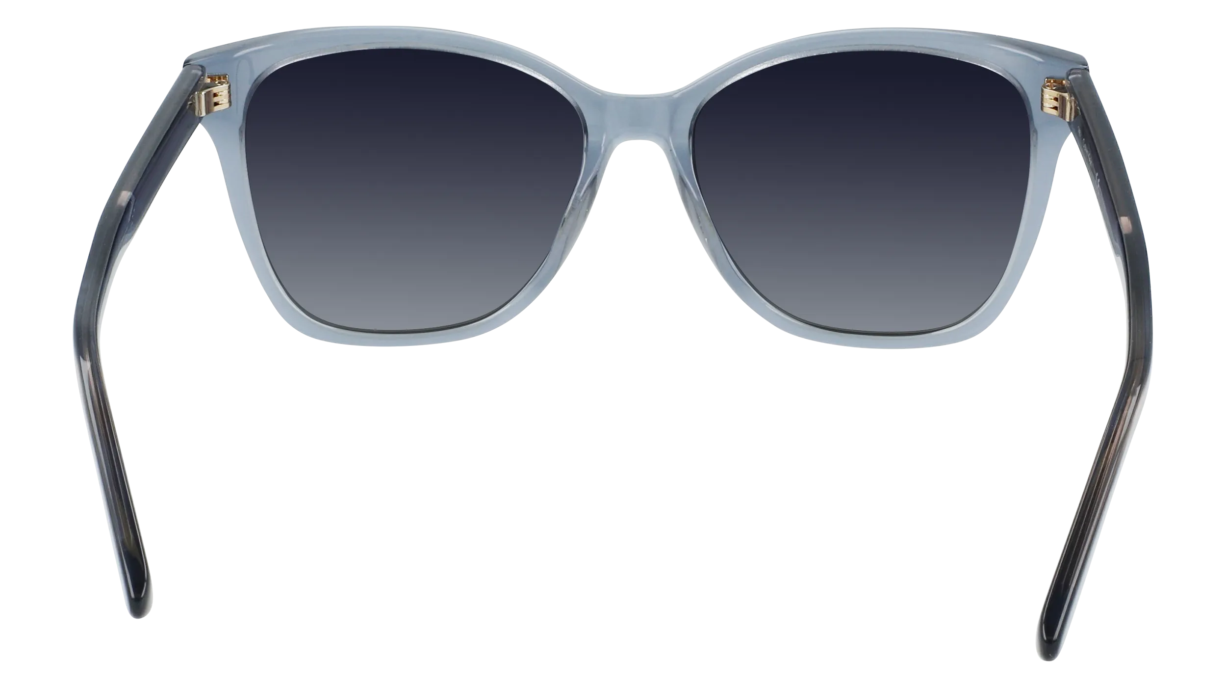 Calvin Klein CK21529S 435