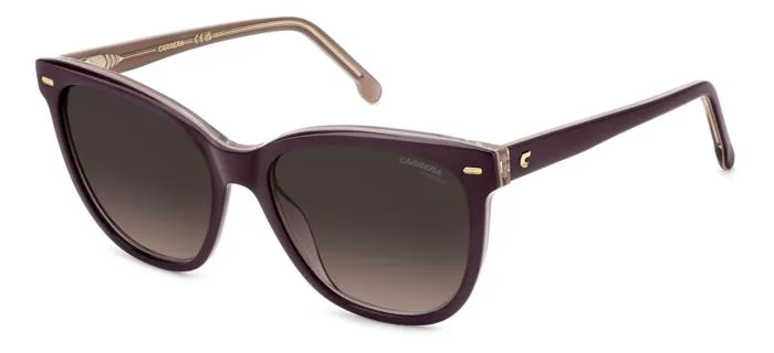 Carrera 3043/S 0T7/HA