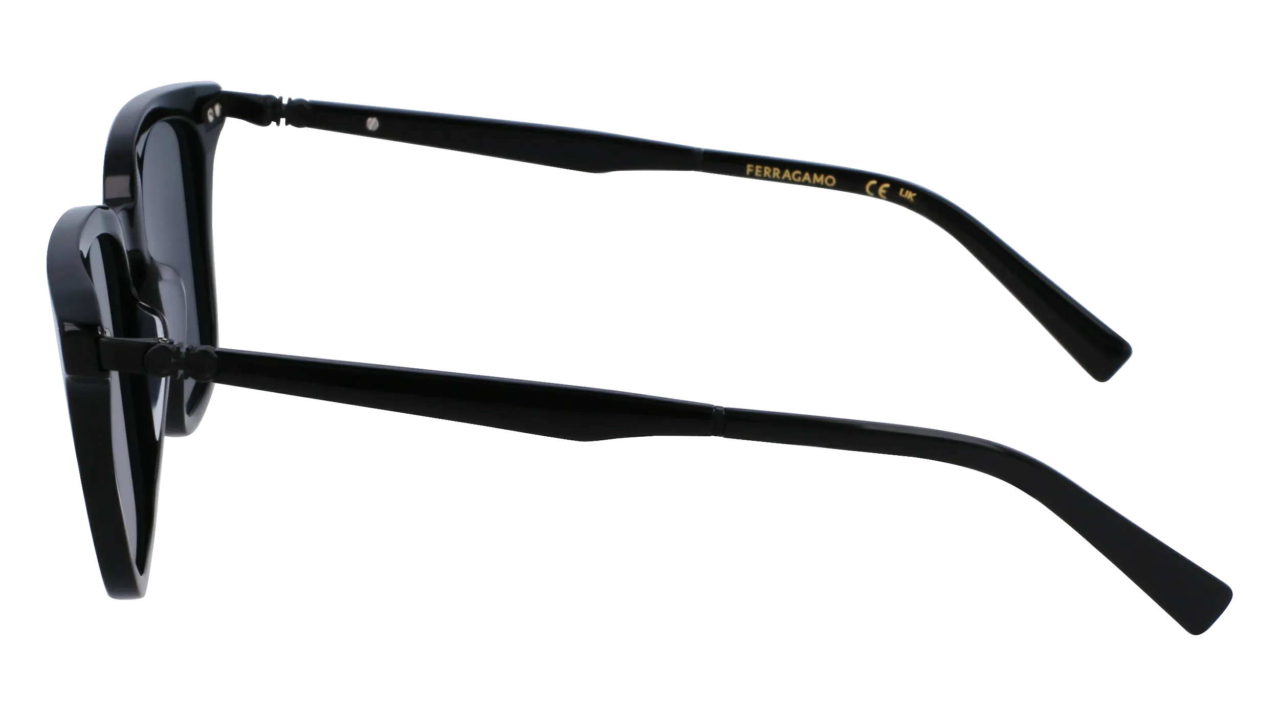 Ferragamo SF1100S 1