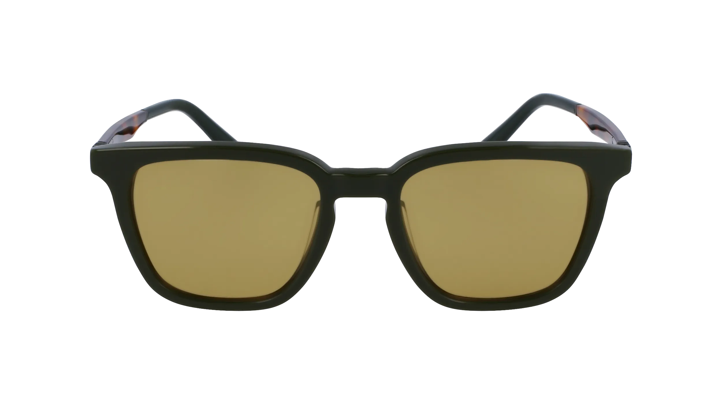 Ferragamo SF1100S 302