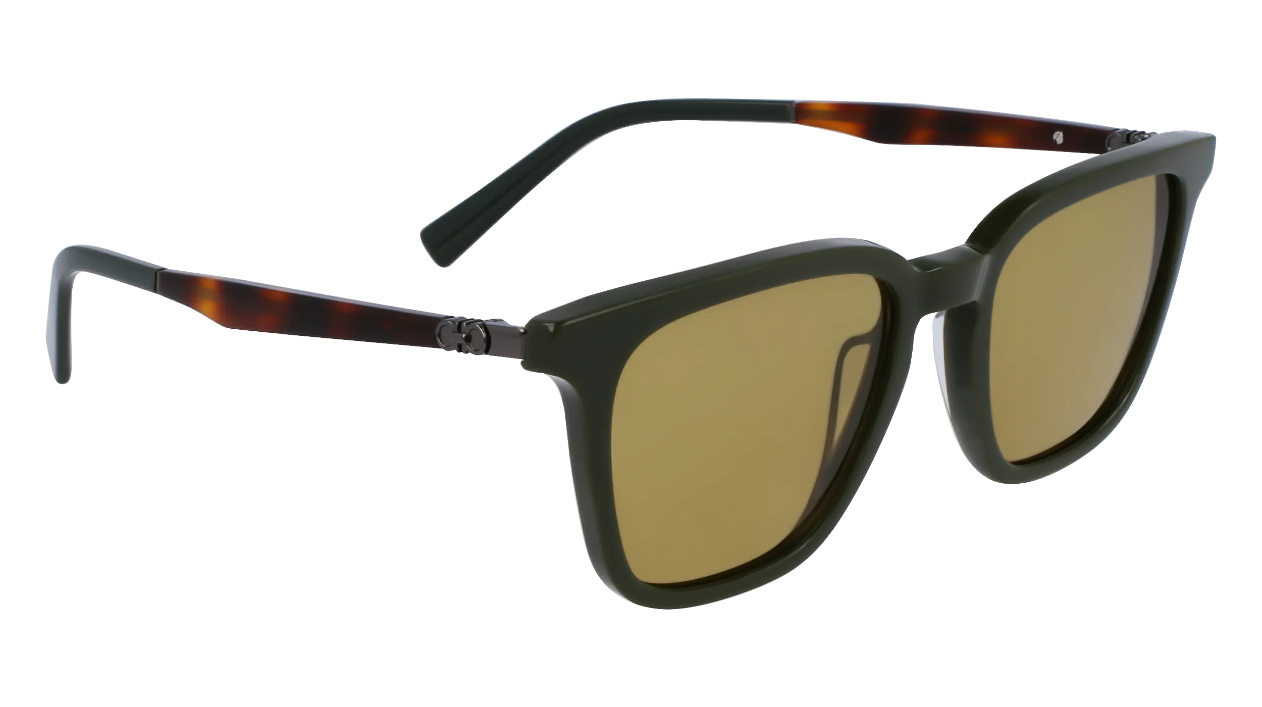Ferragamo SF1100S 302