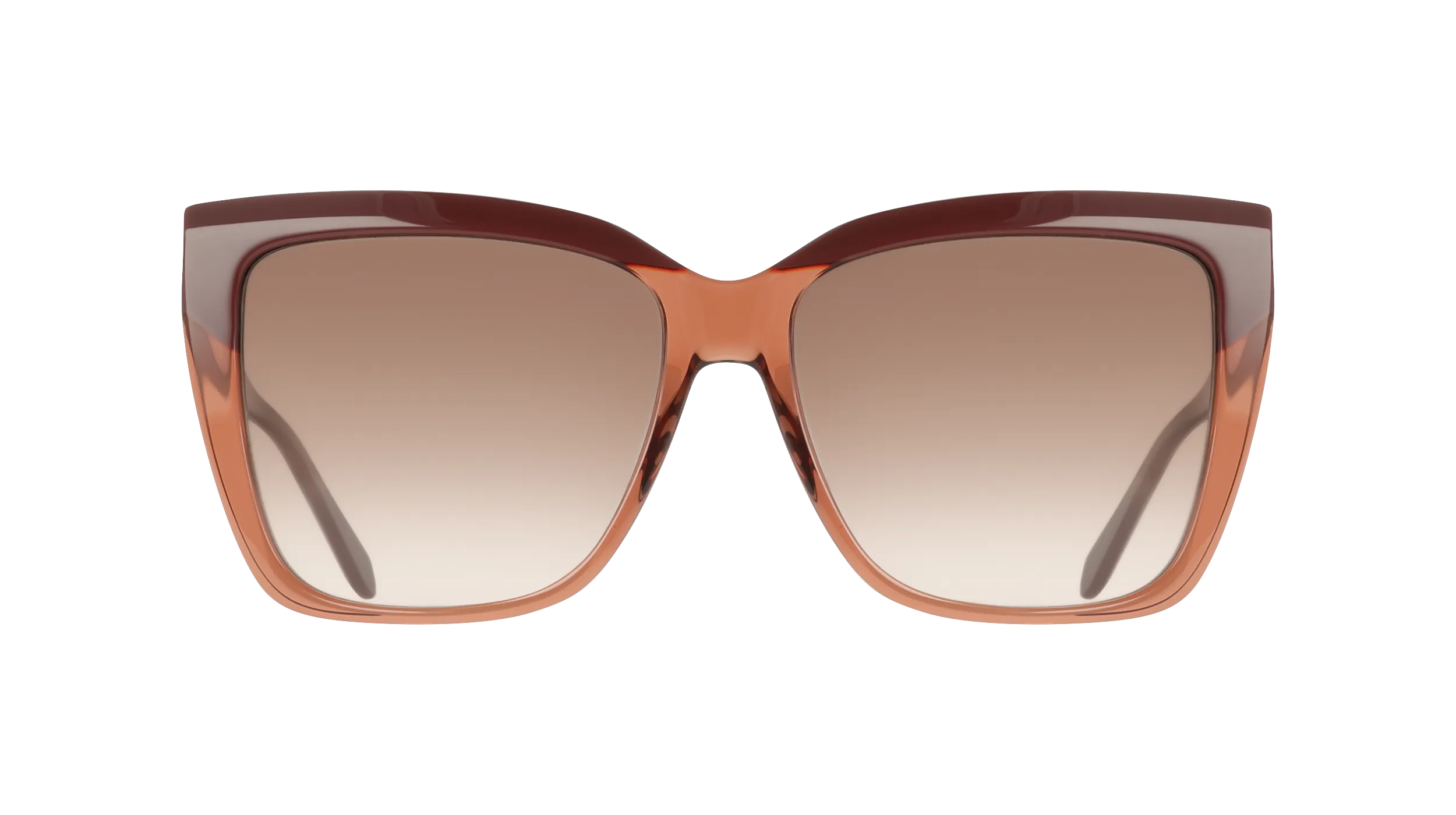 Ferragamo SF1102S 619