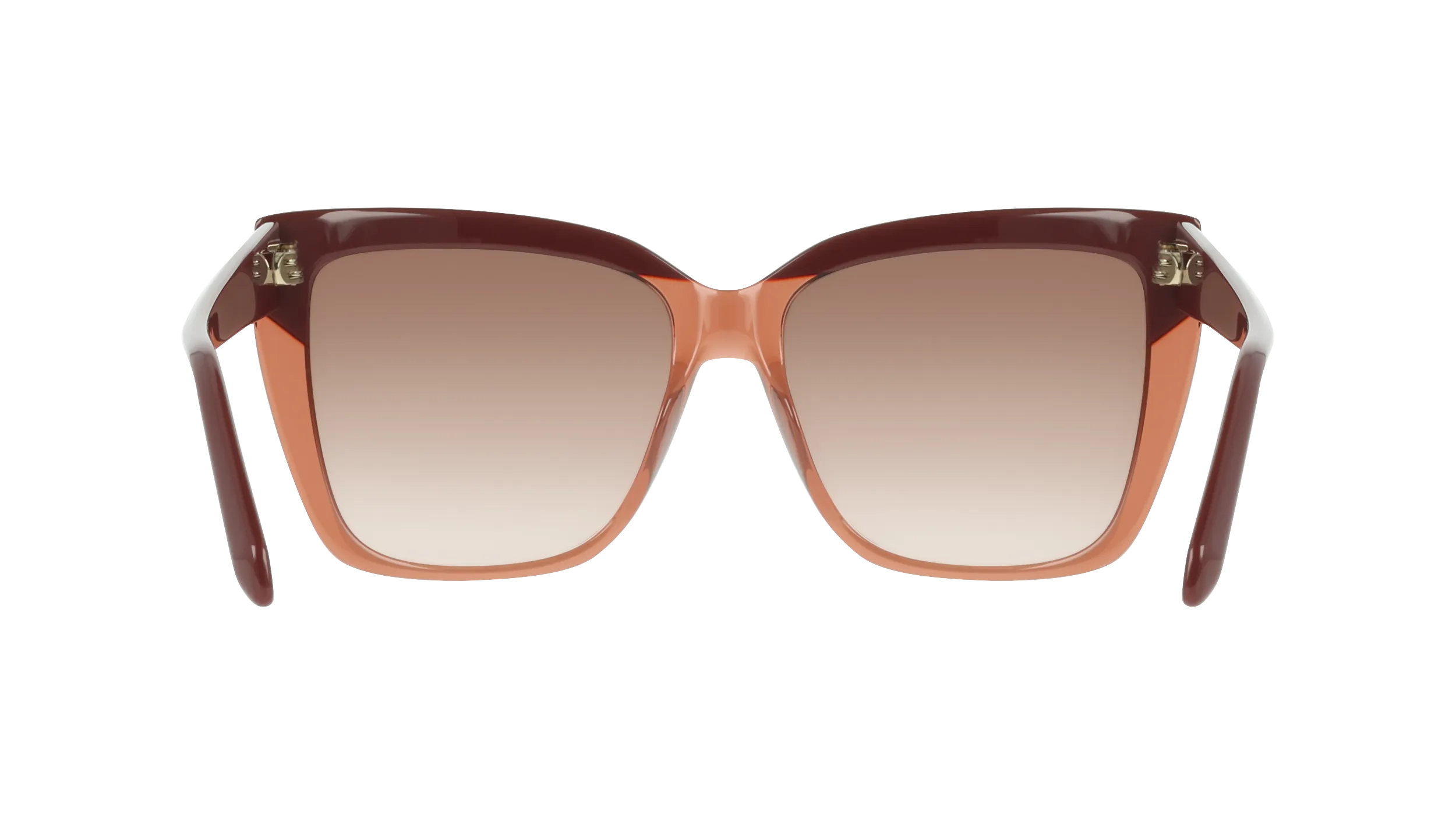 Ferragamo SF1102S 619
