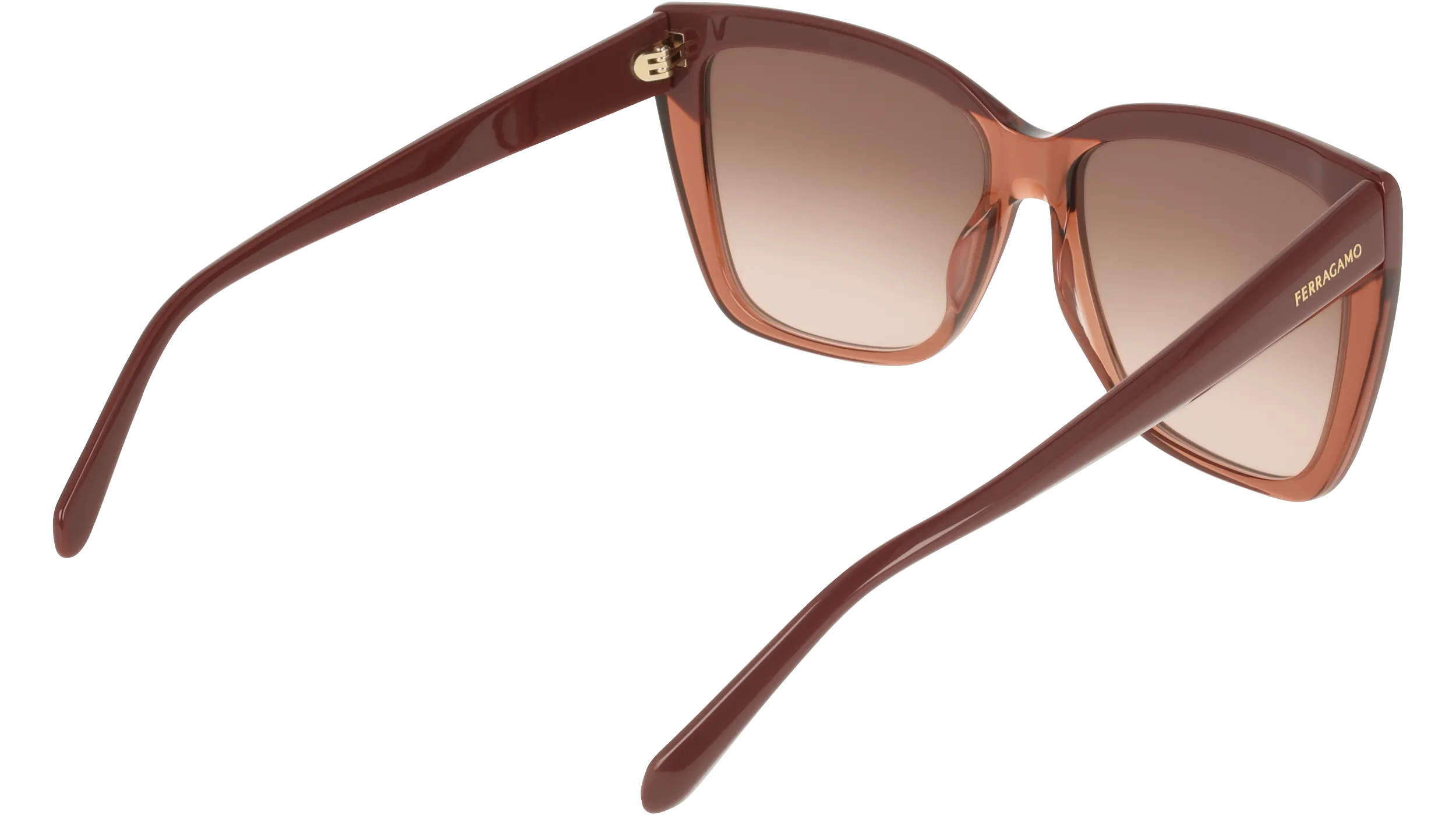 Ferragamo SF1102S 619