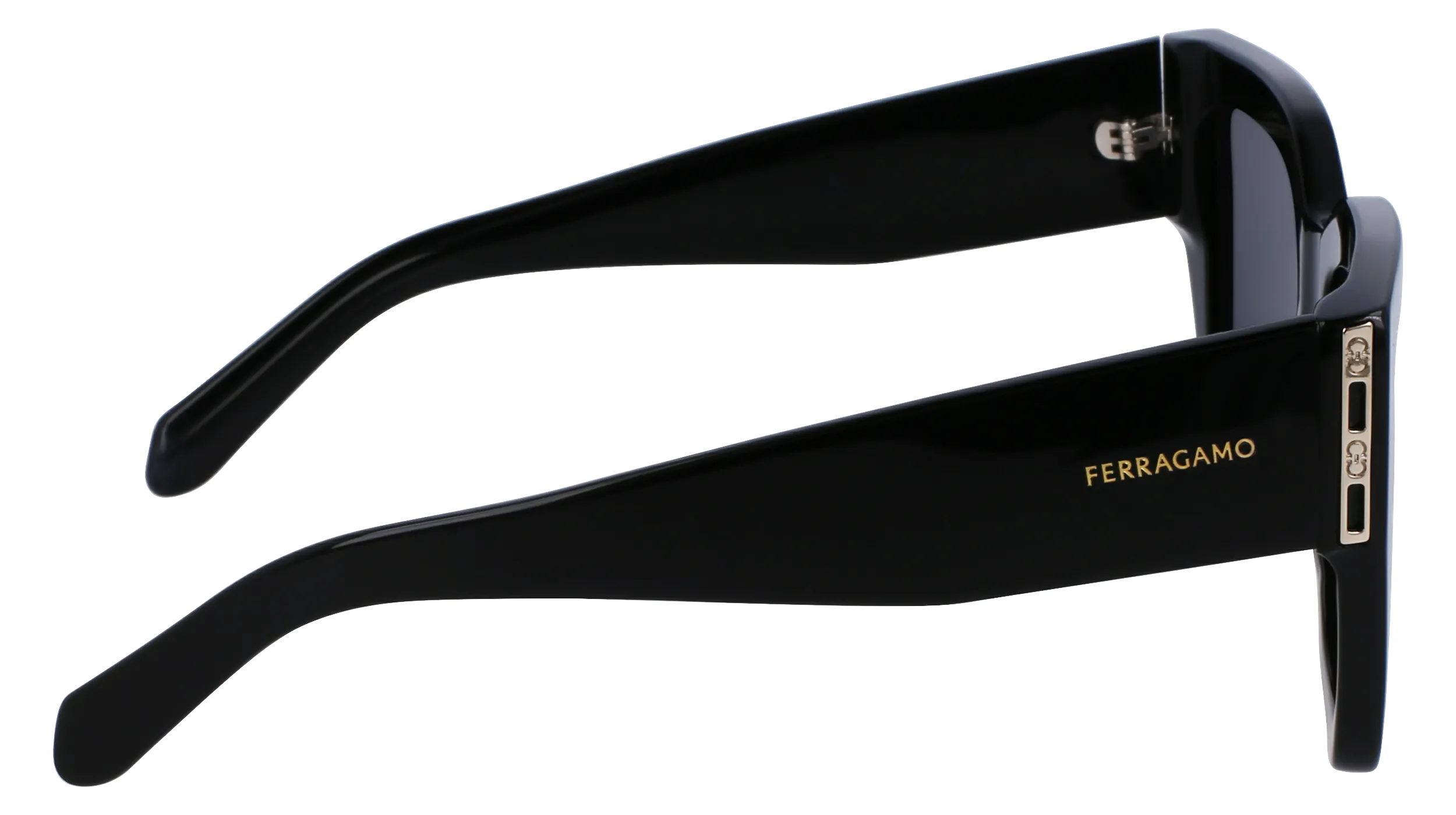 Ferragamo SF1104S 1