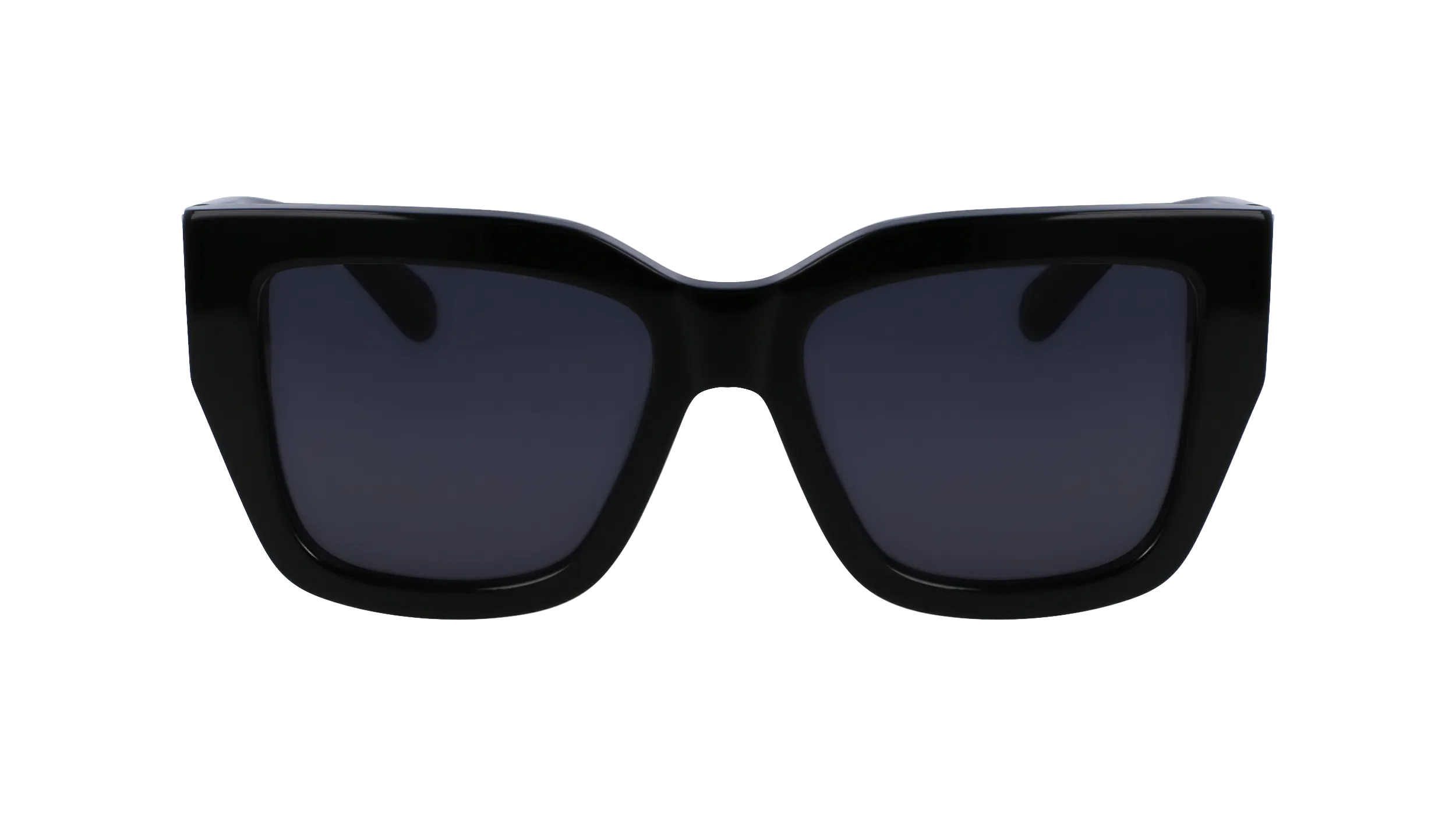 Ferragamo SF1104S 1
