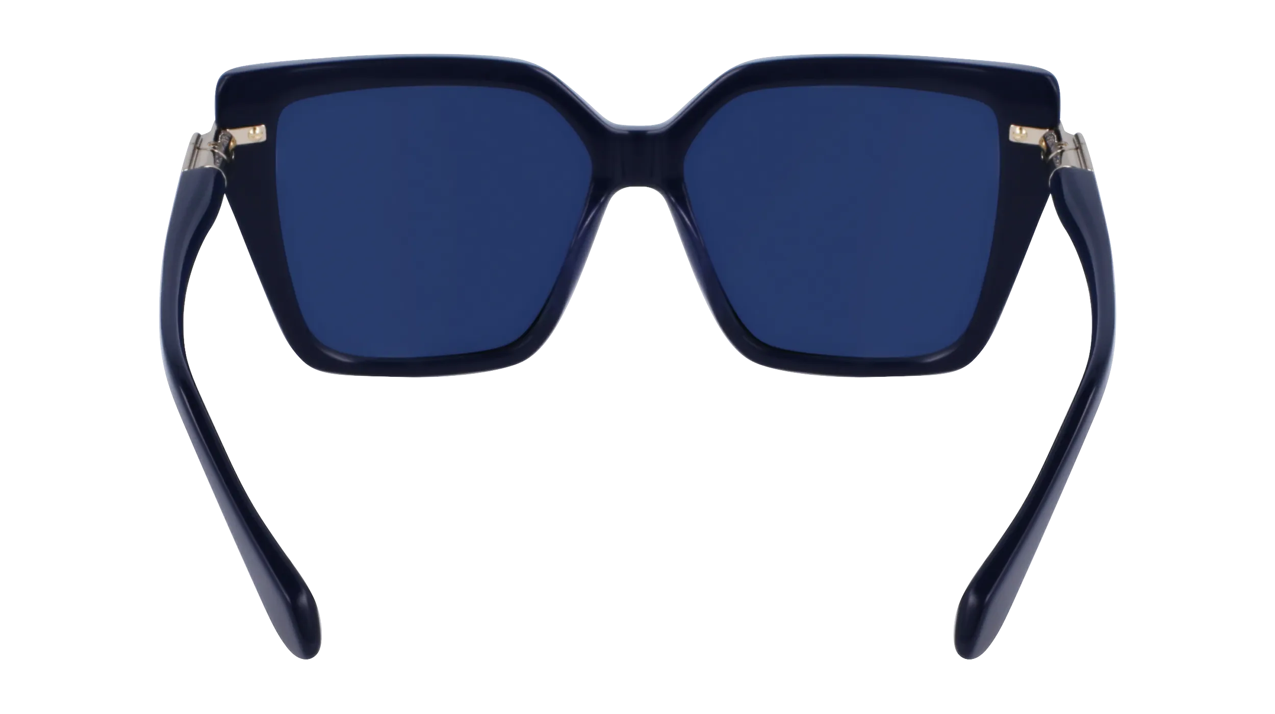 Ferragamo SF1106S 414