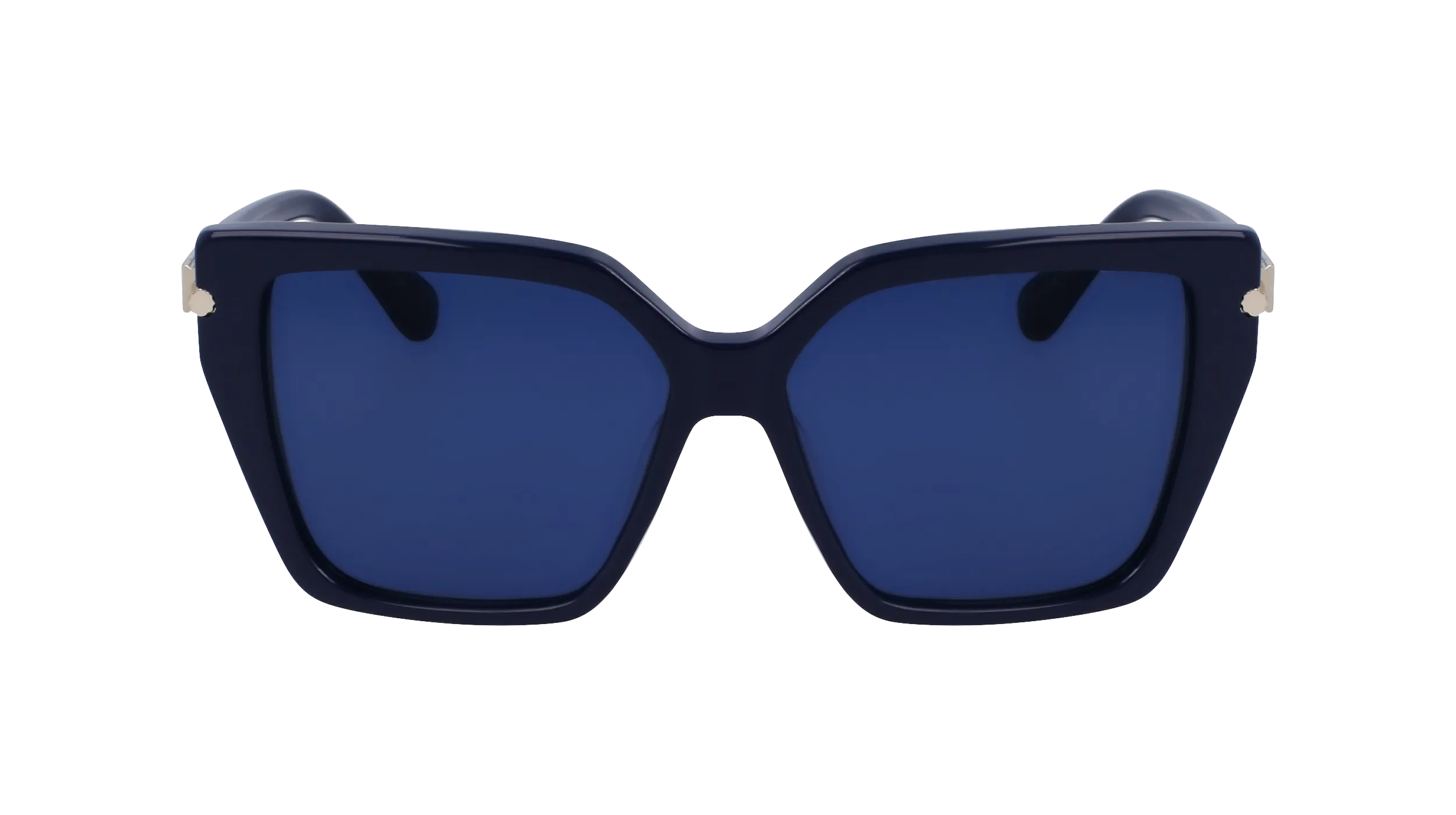 Ferragamo SF1106S 414