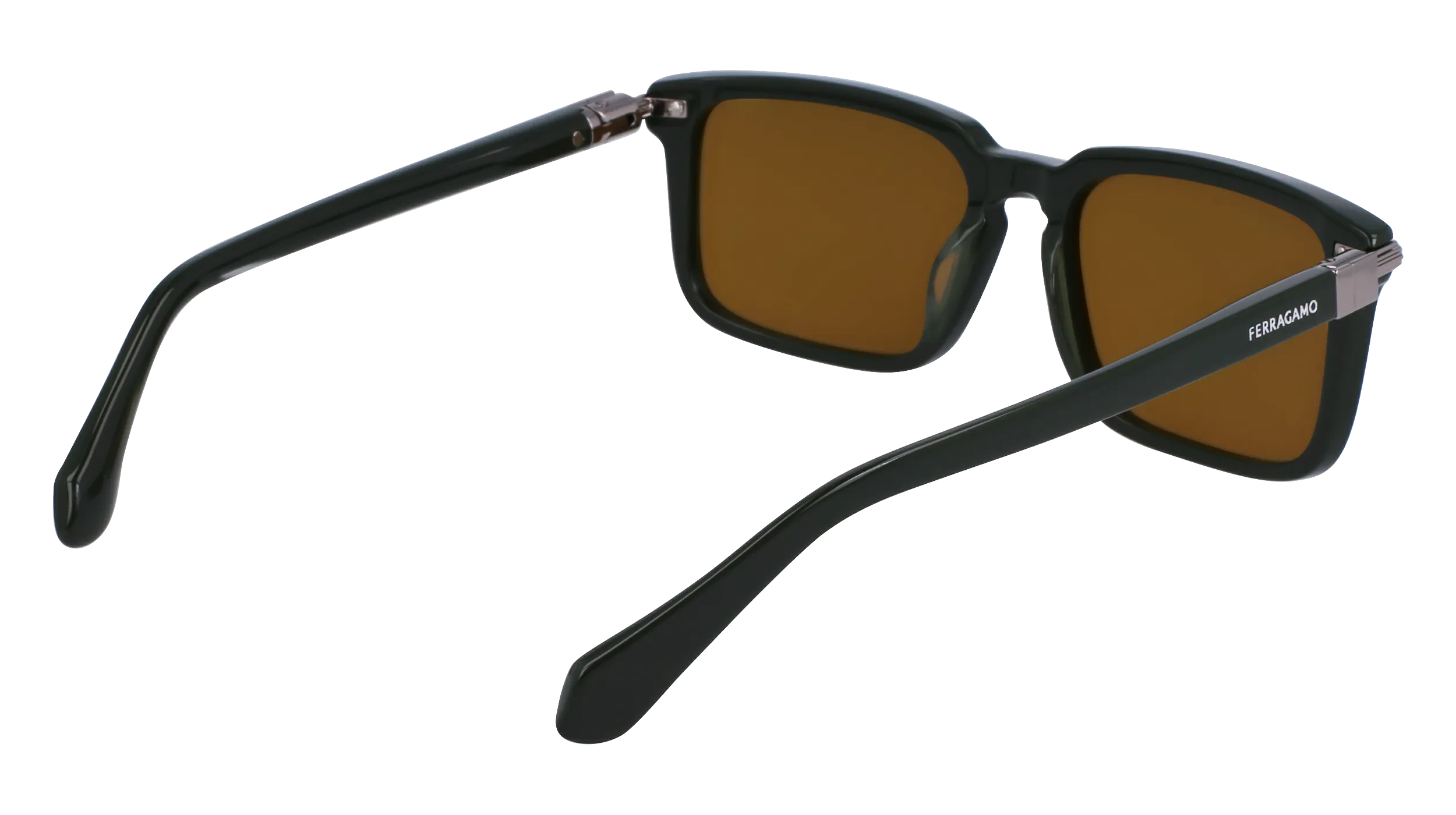 Ferragamo SF1110S 302