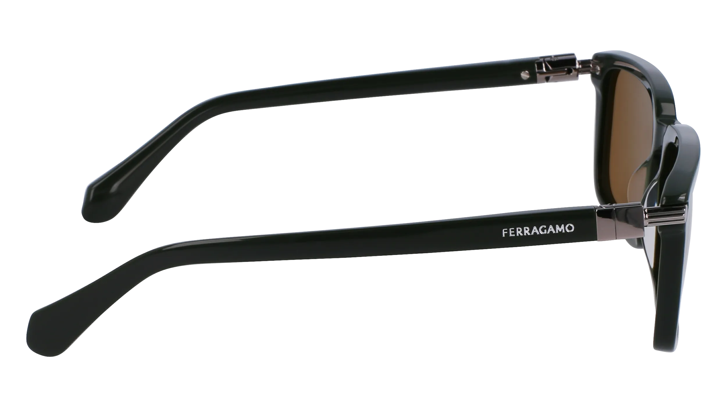 Ferragamo SF1110S 302