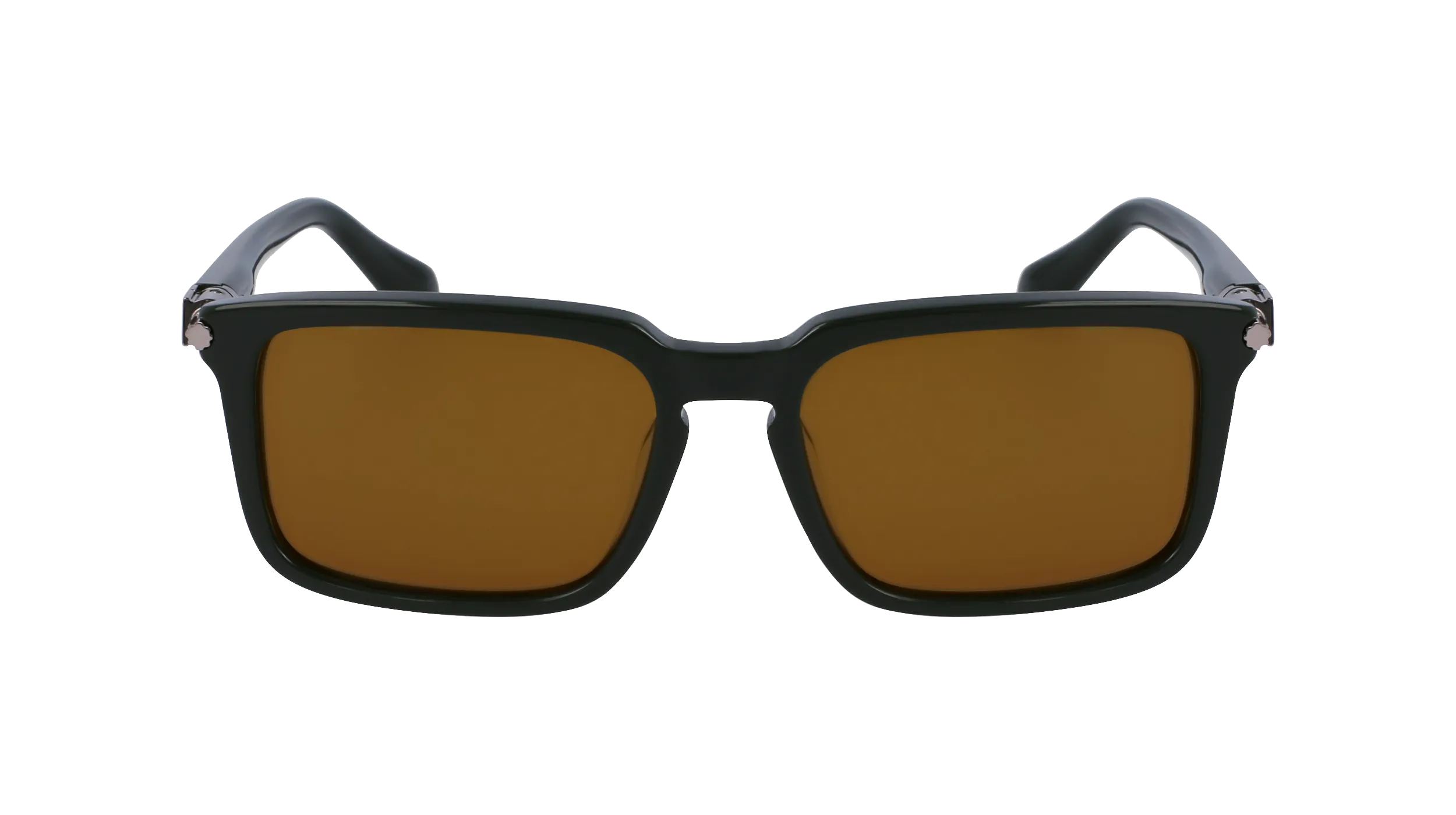 Ferragamo SF1110S 302
