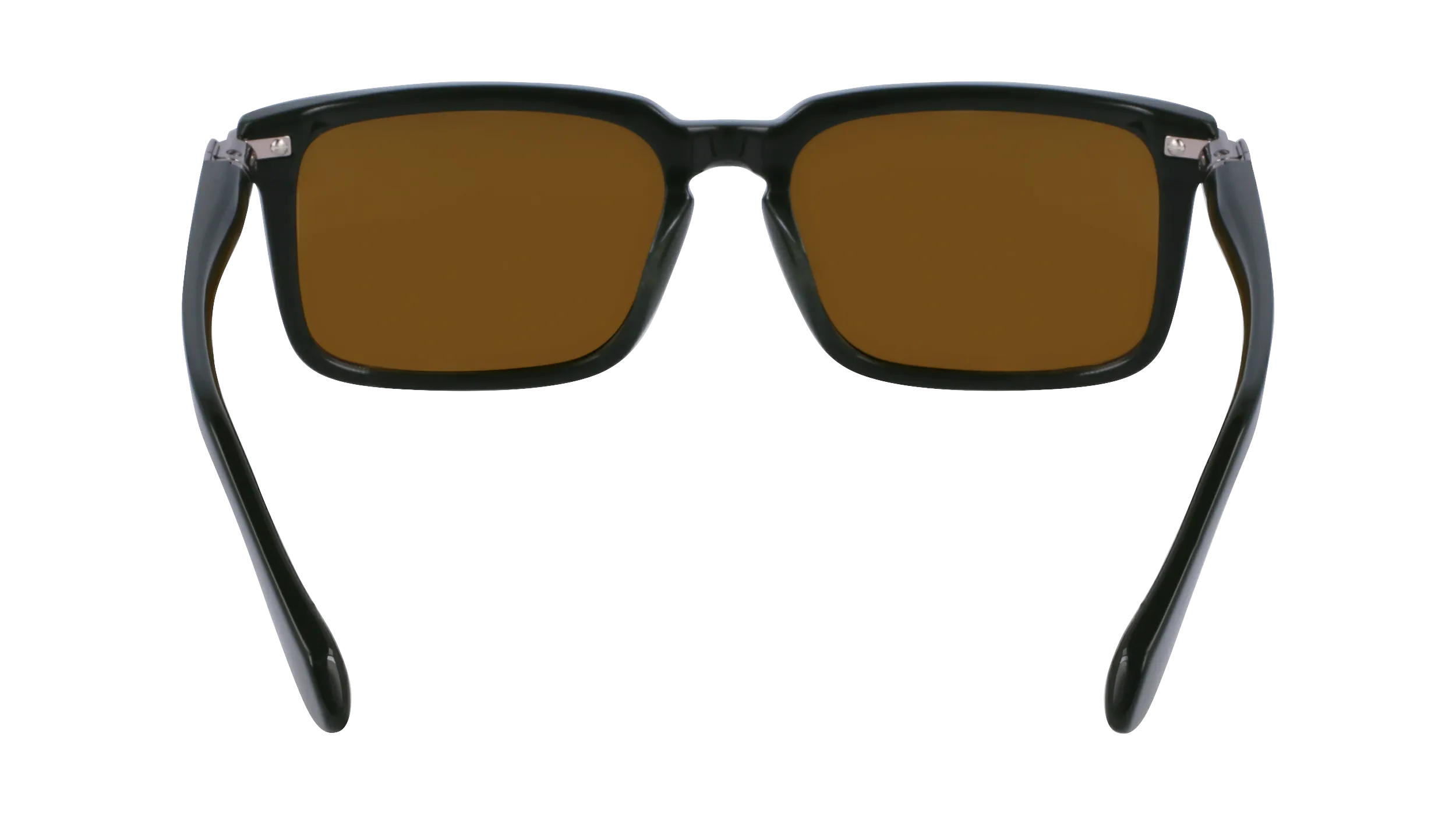 Ferragamo SF1110S 302