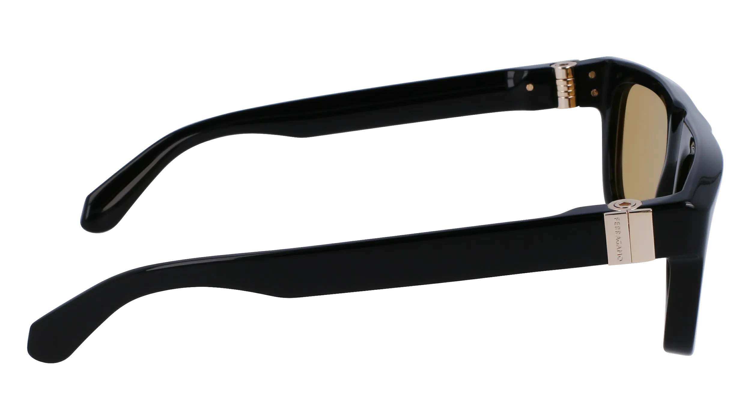 Ferragamo SF2009S 11