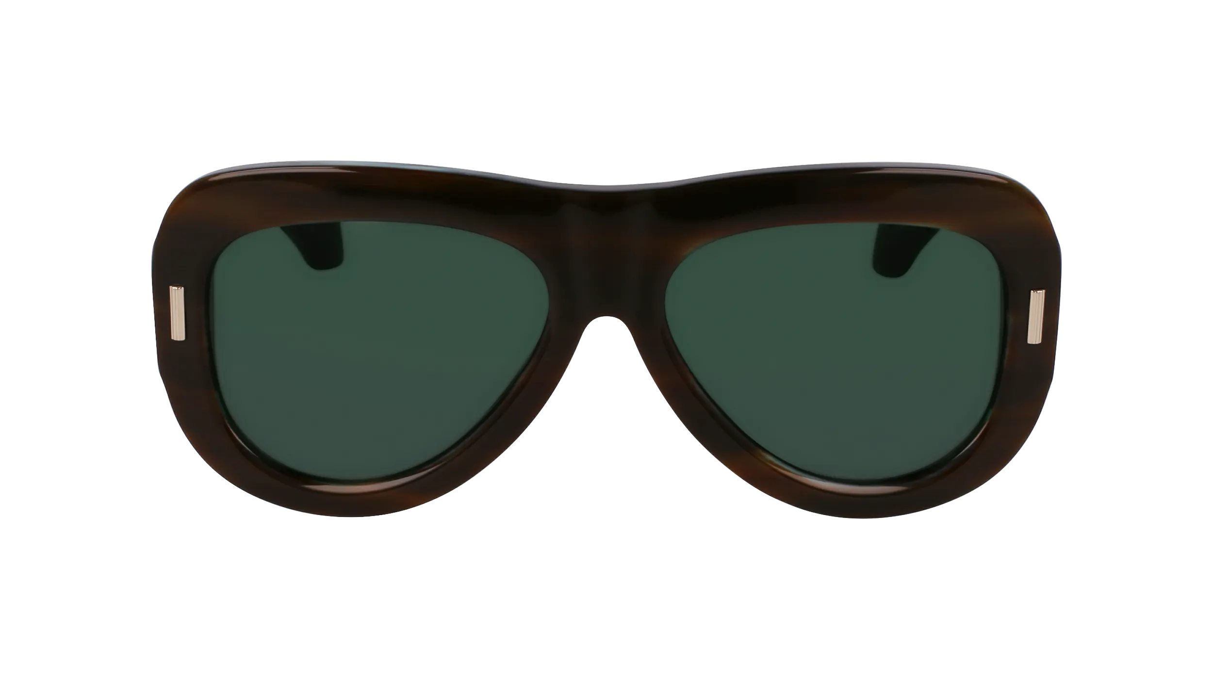Ferragamo SF2029SE 221