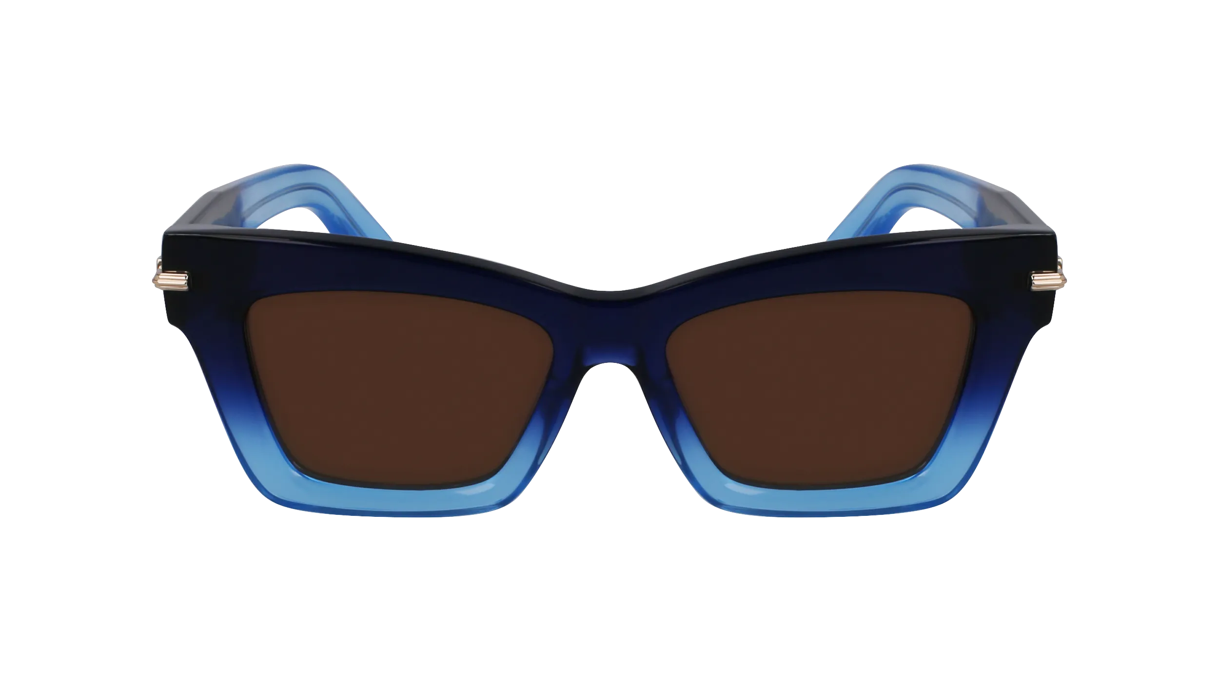 Ferragamo SF2031S 415
