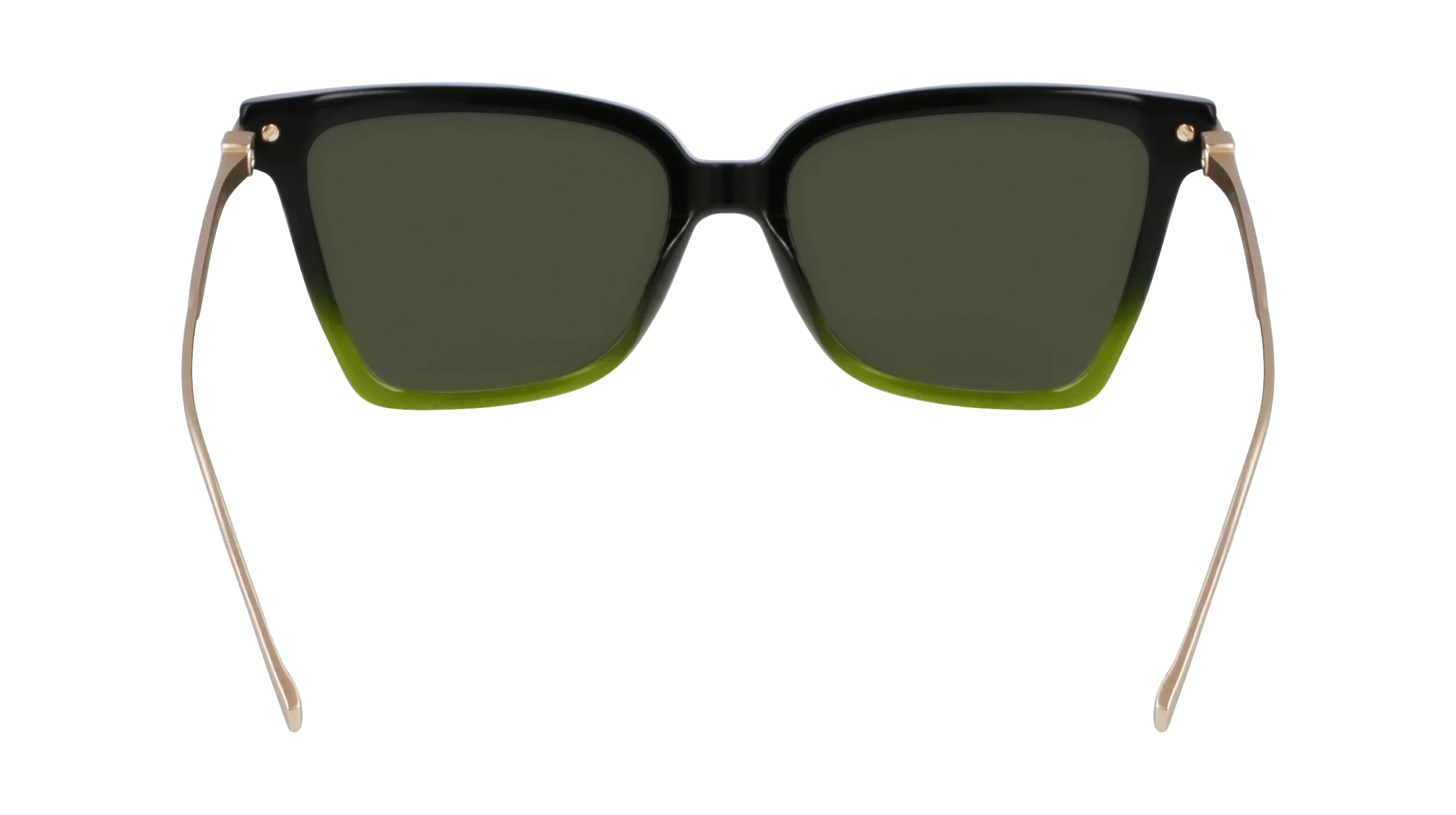 Ferragamo SF2036S 316