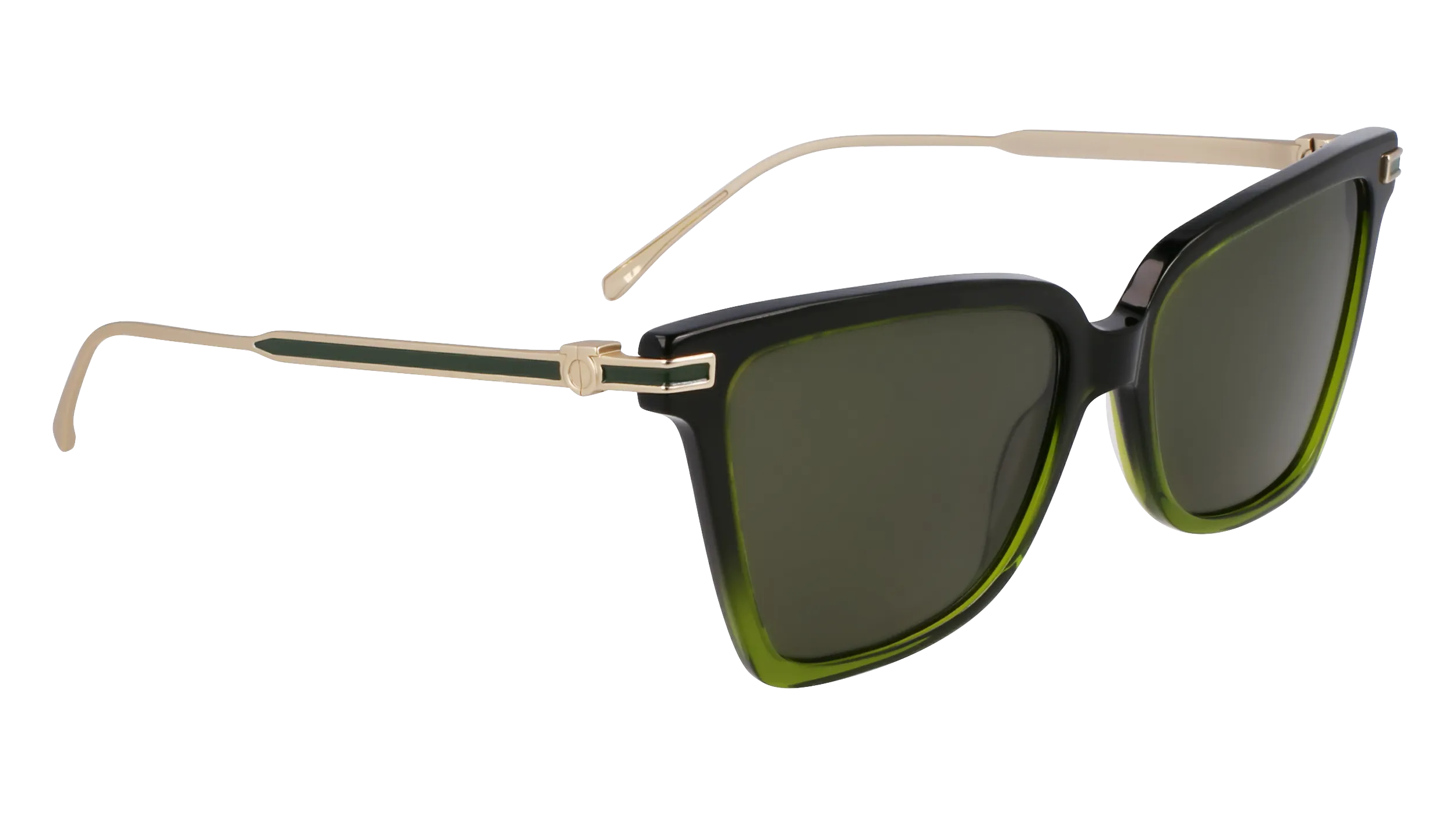 Ferragamo SF2036S 316