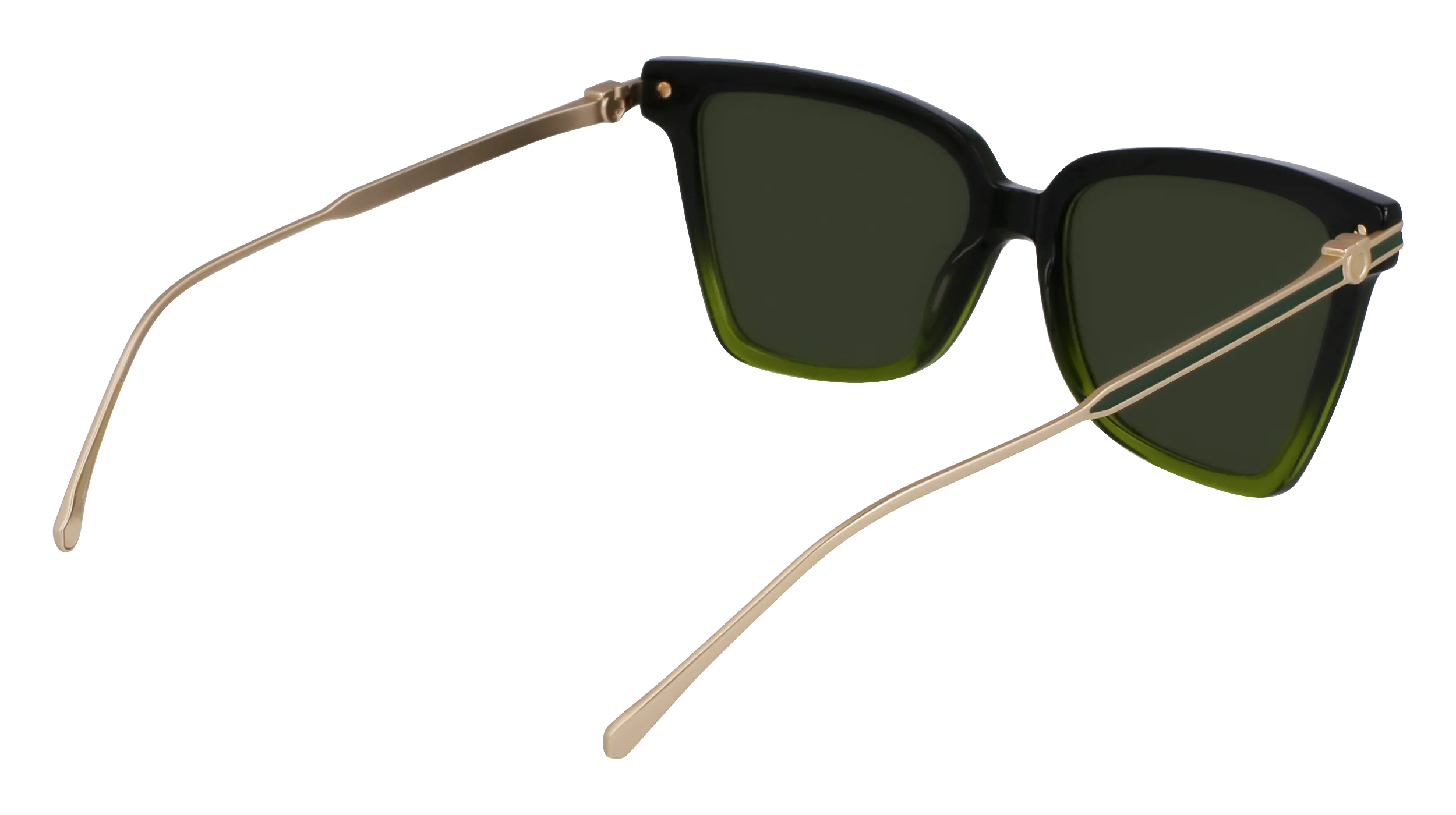 Ferragamo SF2036S 316