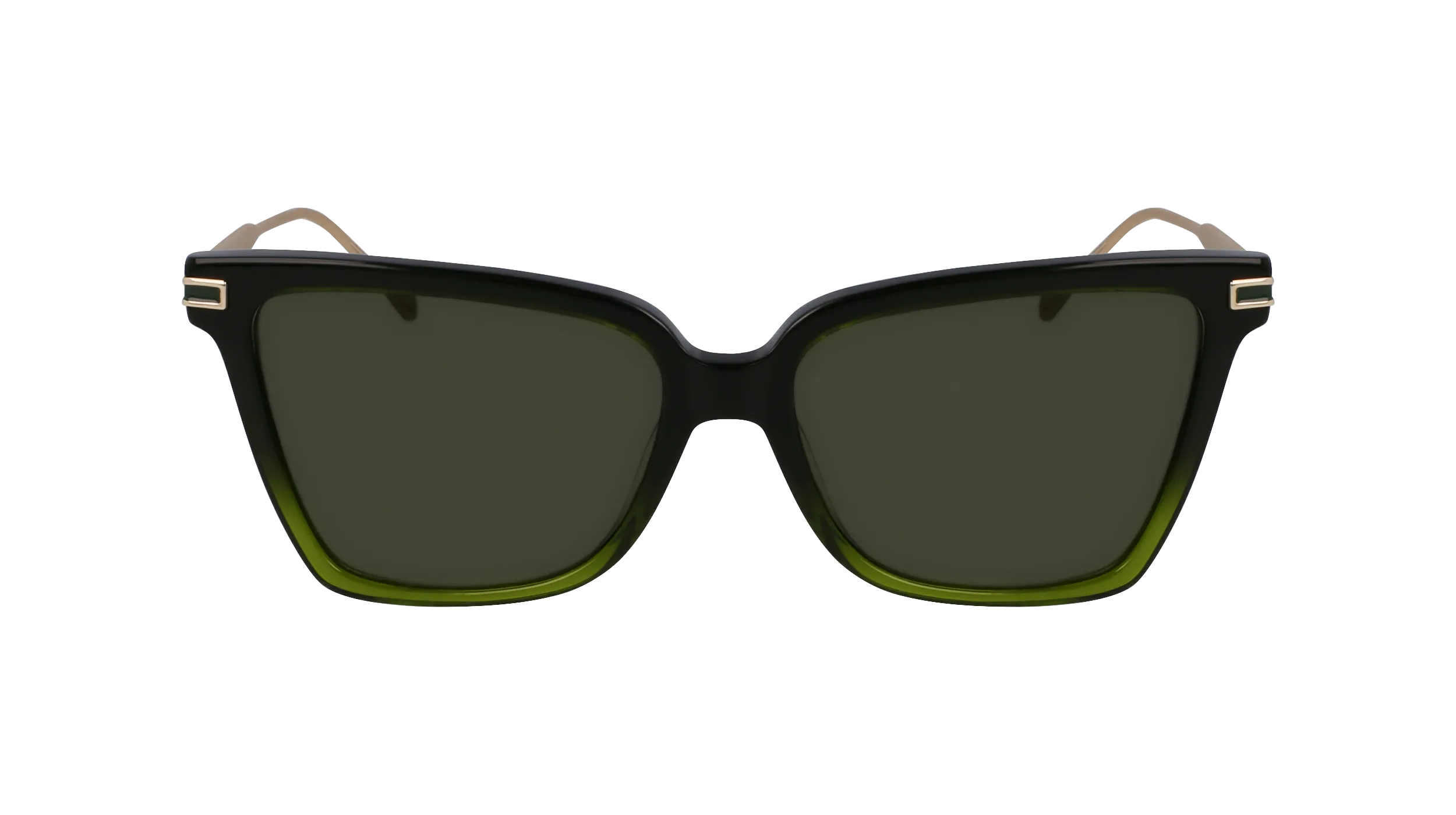 Ferragamo SF2036S 316