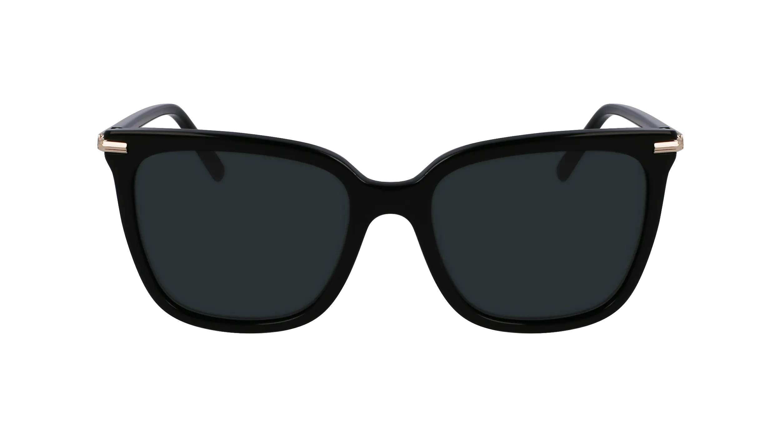 Ferragamo SF2037S 1