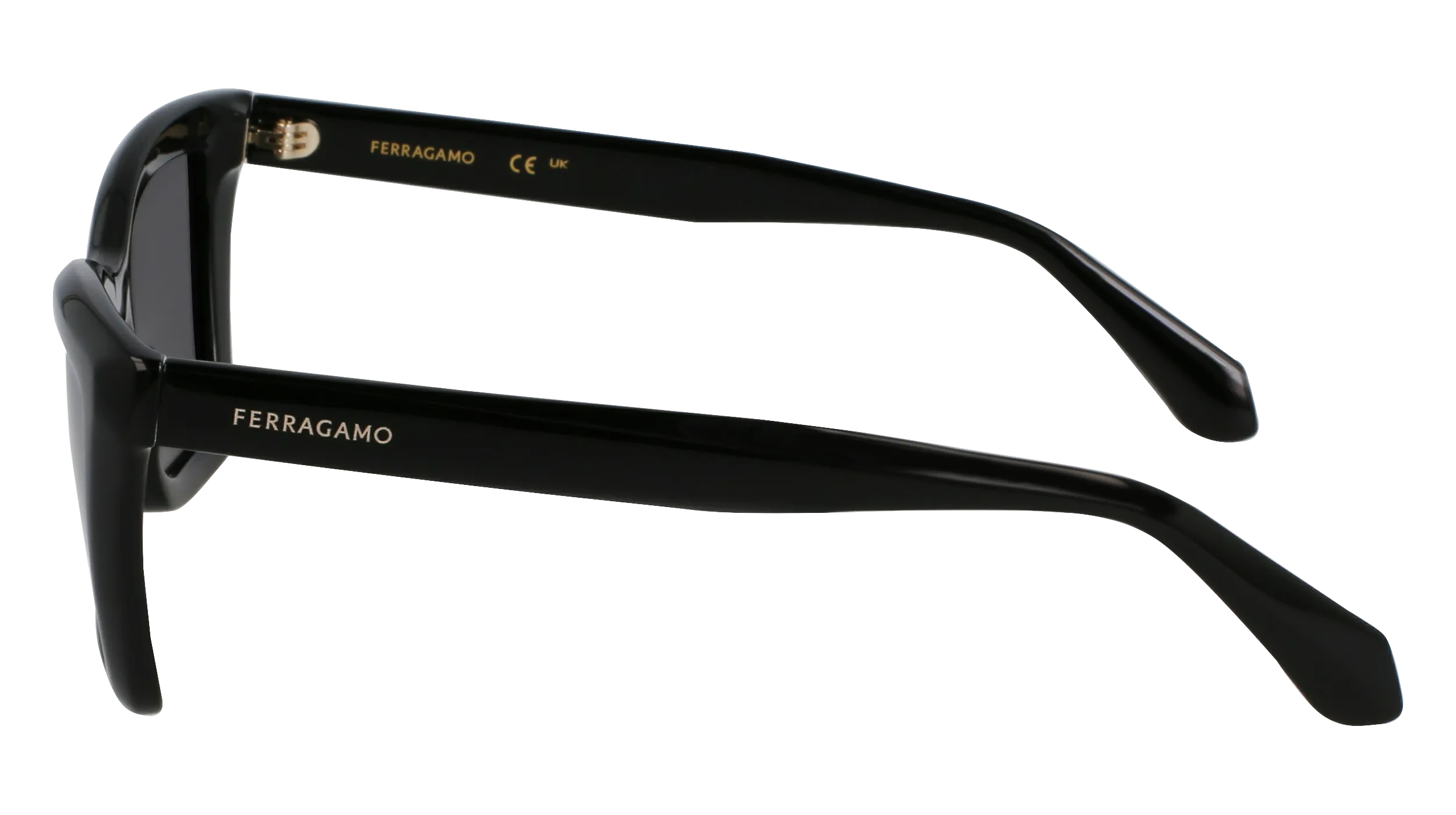 Ferragamo SF2039SE 1