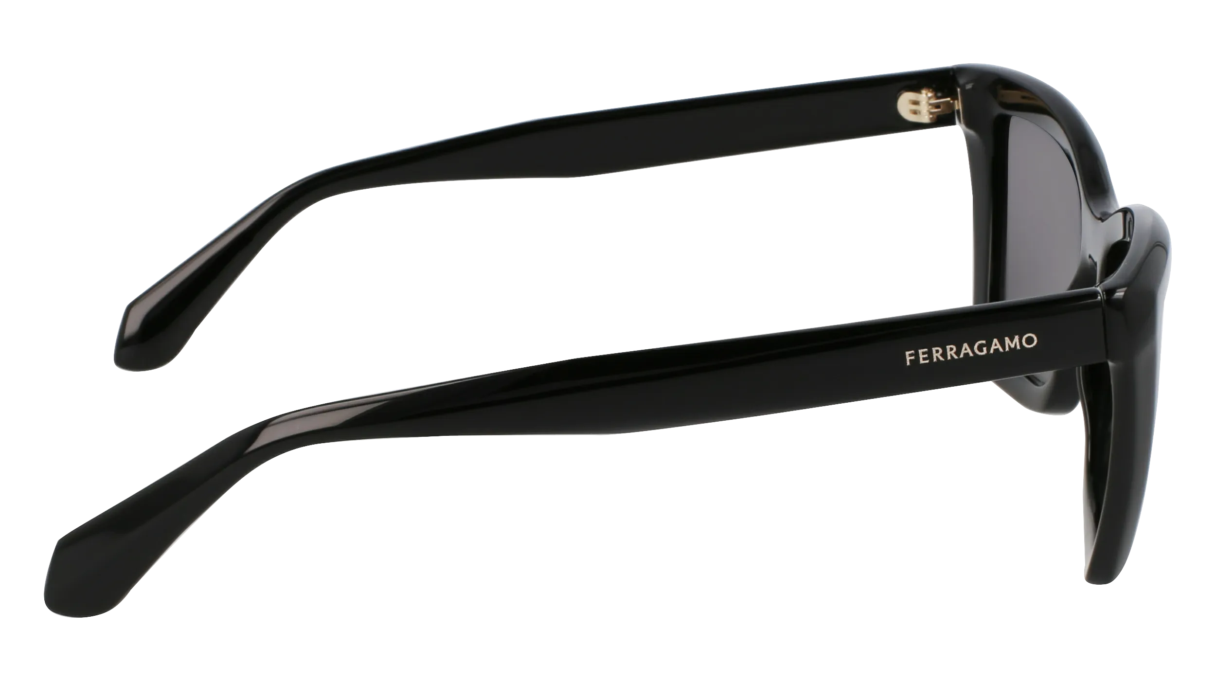 Ferragamo SF2039SE 1