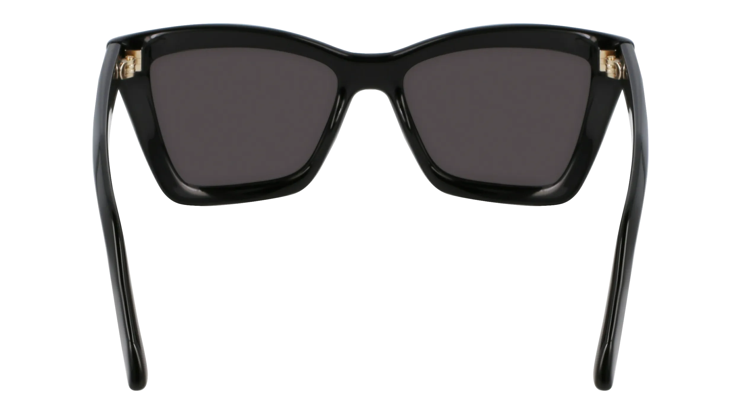 Ferragamo SF2039SE 1