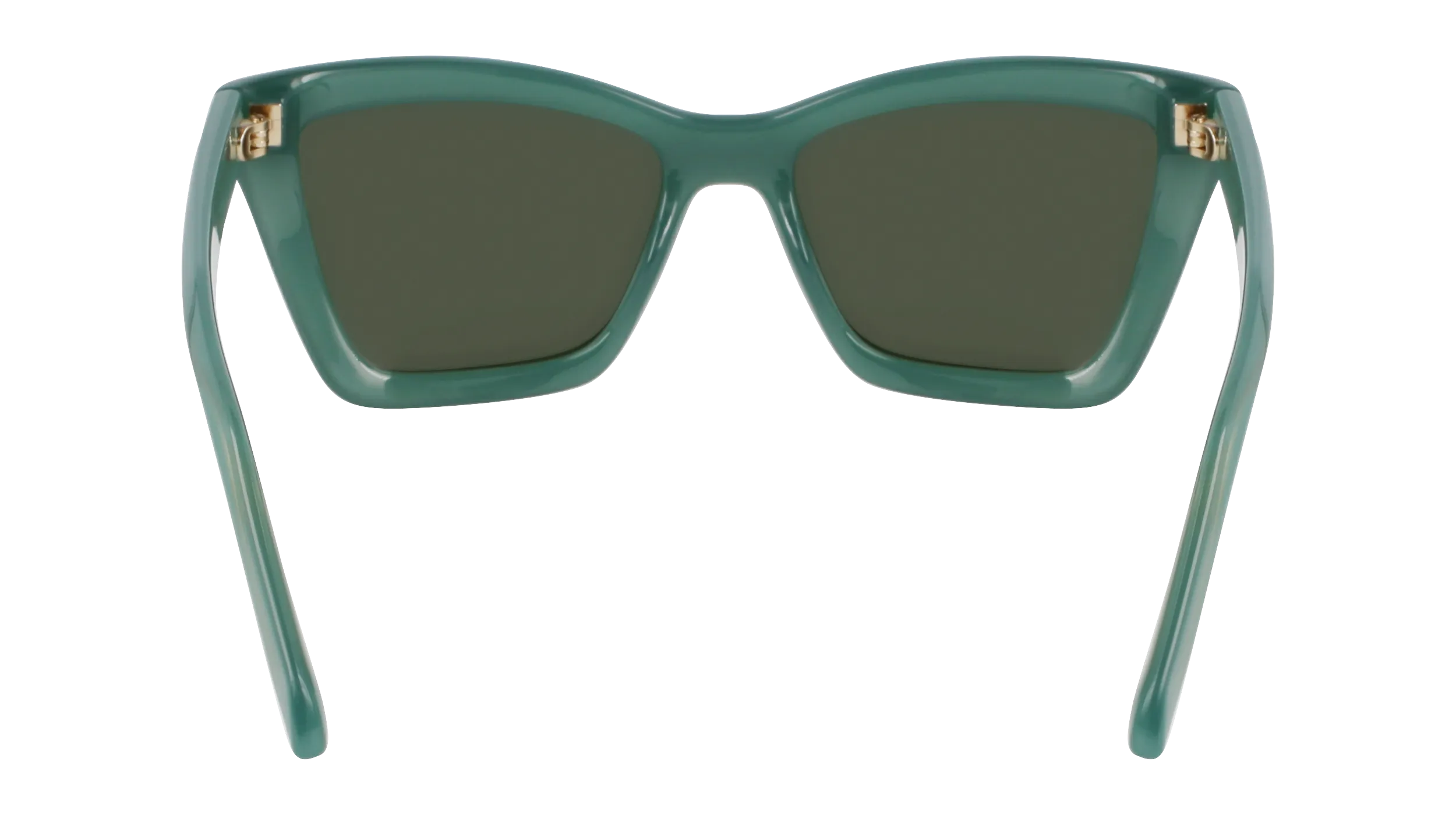 Ferragamo SF2039SE 339