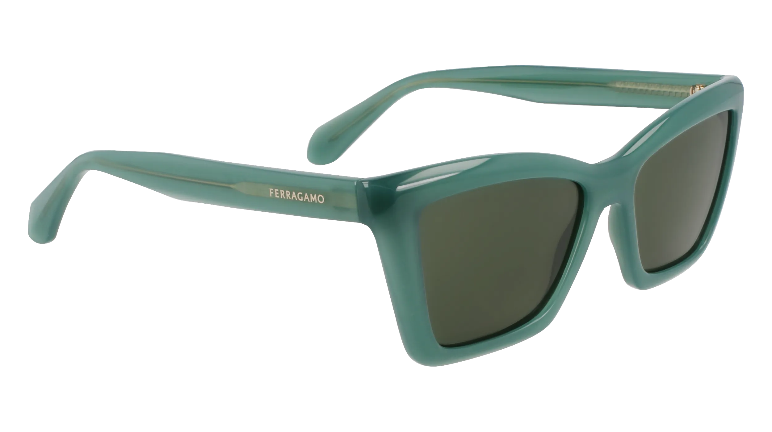 Ferragamo SF2039SE 339
