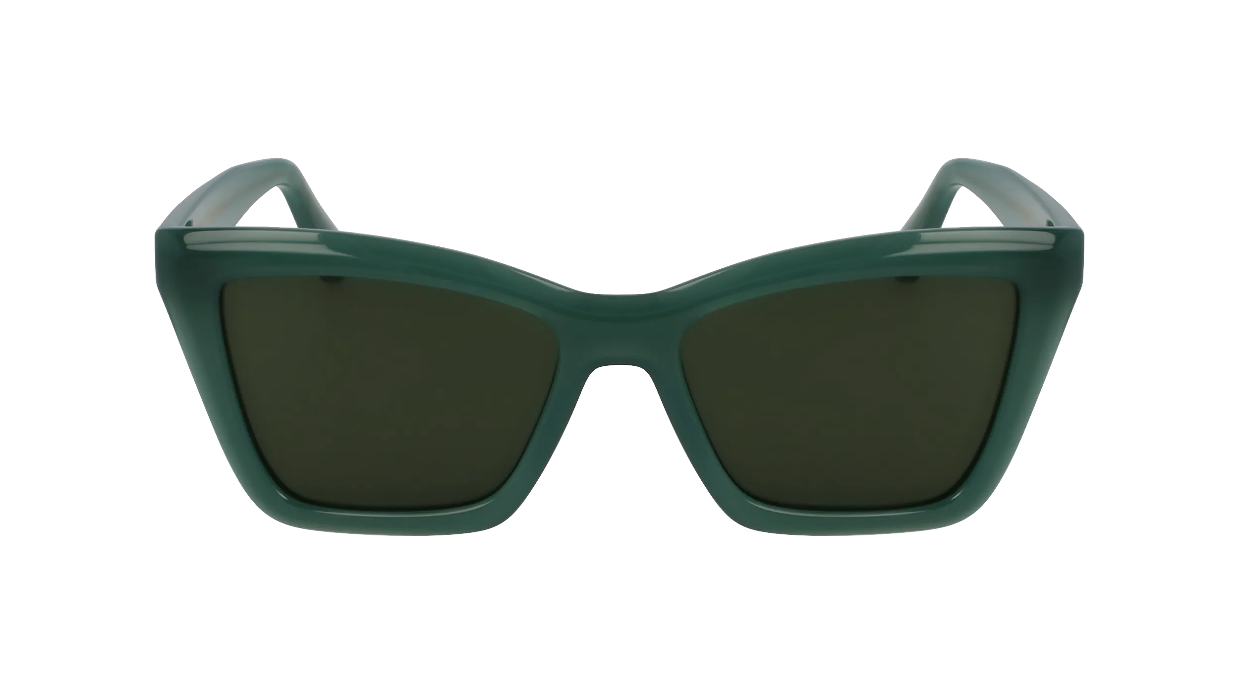 Ferragamo SF2039SE 339