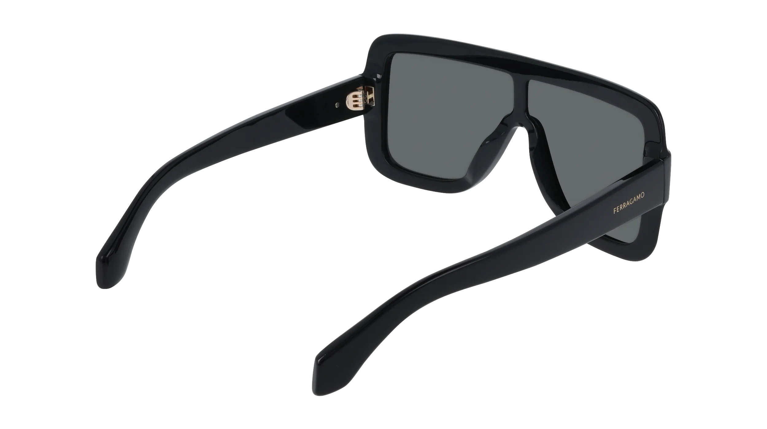 Ferragamo SF2061SE 1