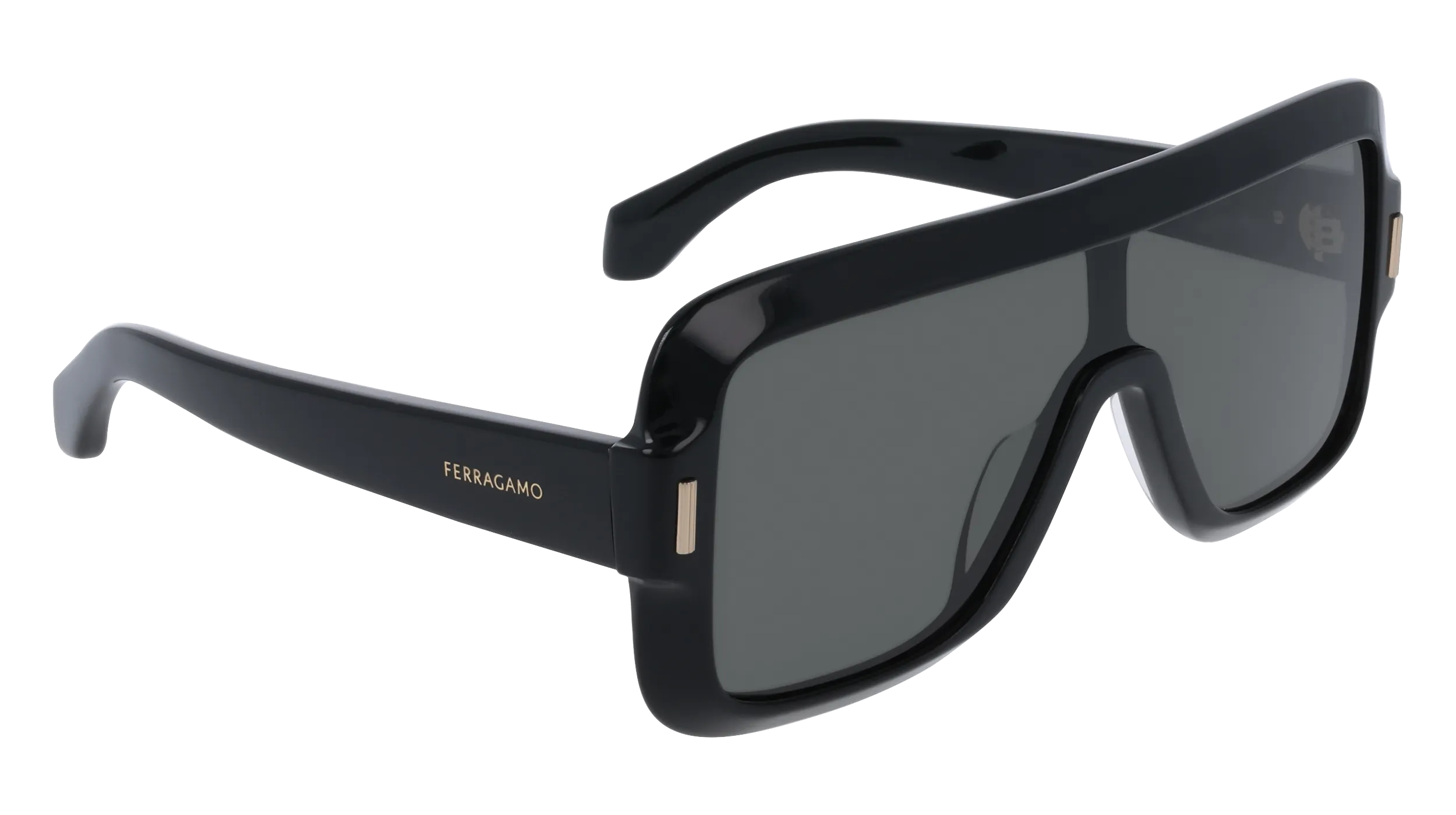 Ferragamo SF2061SE 1