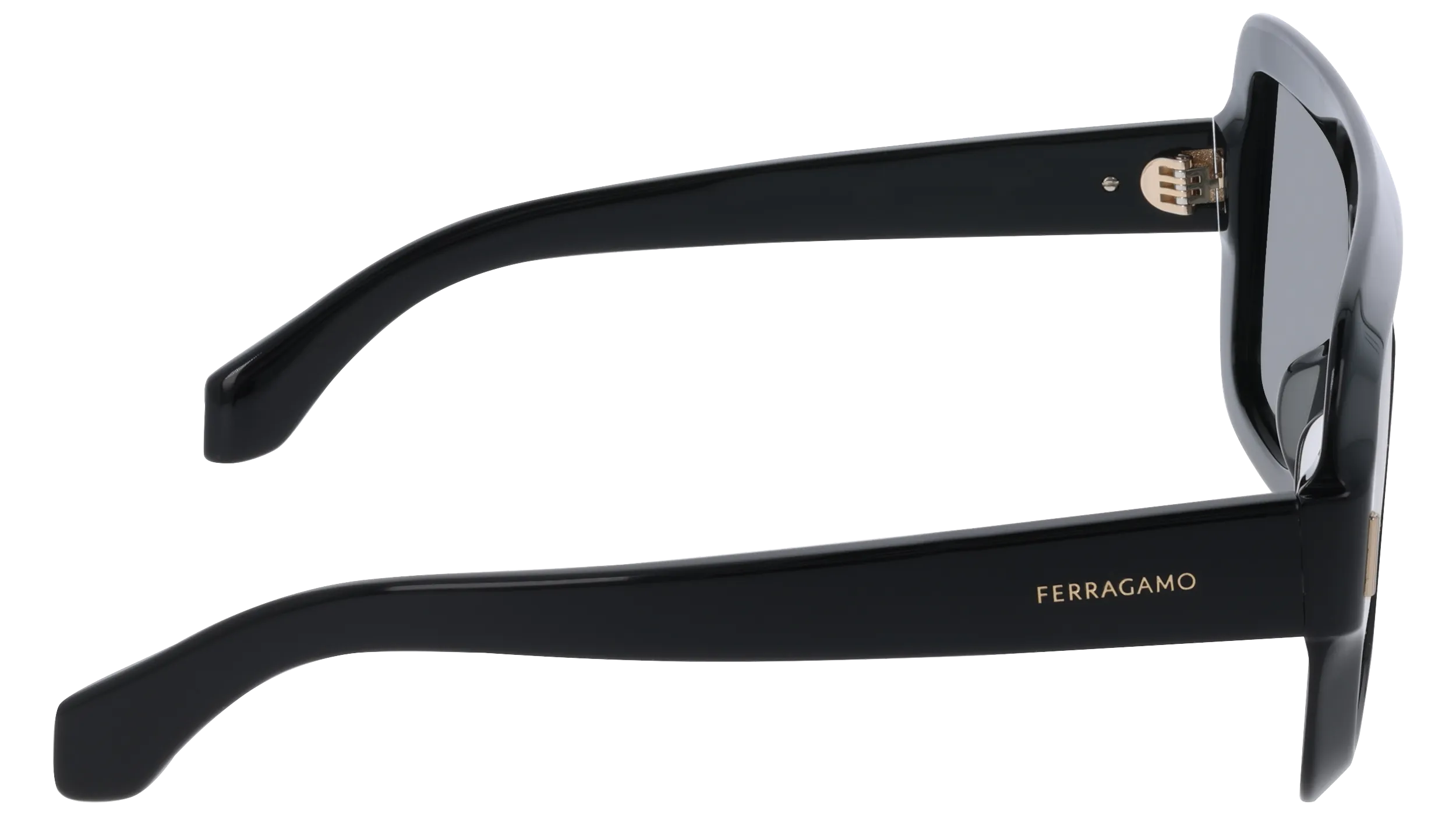 Ferragamo SF2061SE 1