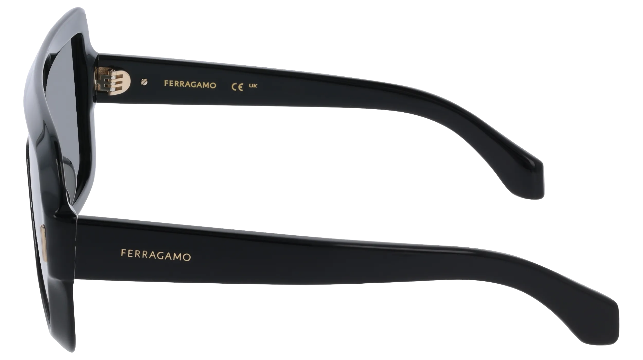 Ferragamo SF2061SE 1