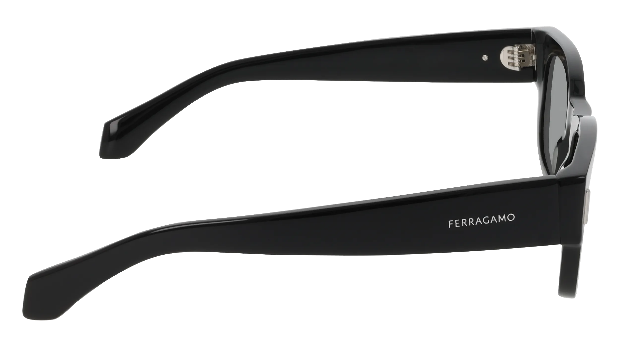 Ferragamo SF2064SE 1