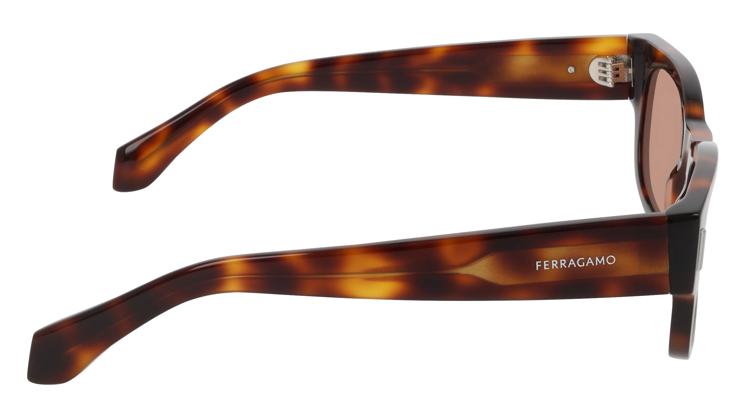 Ferragamo SF2064SE 240