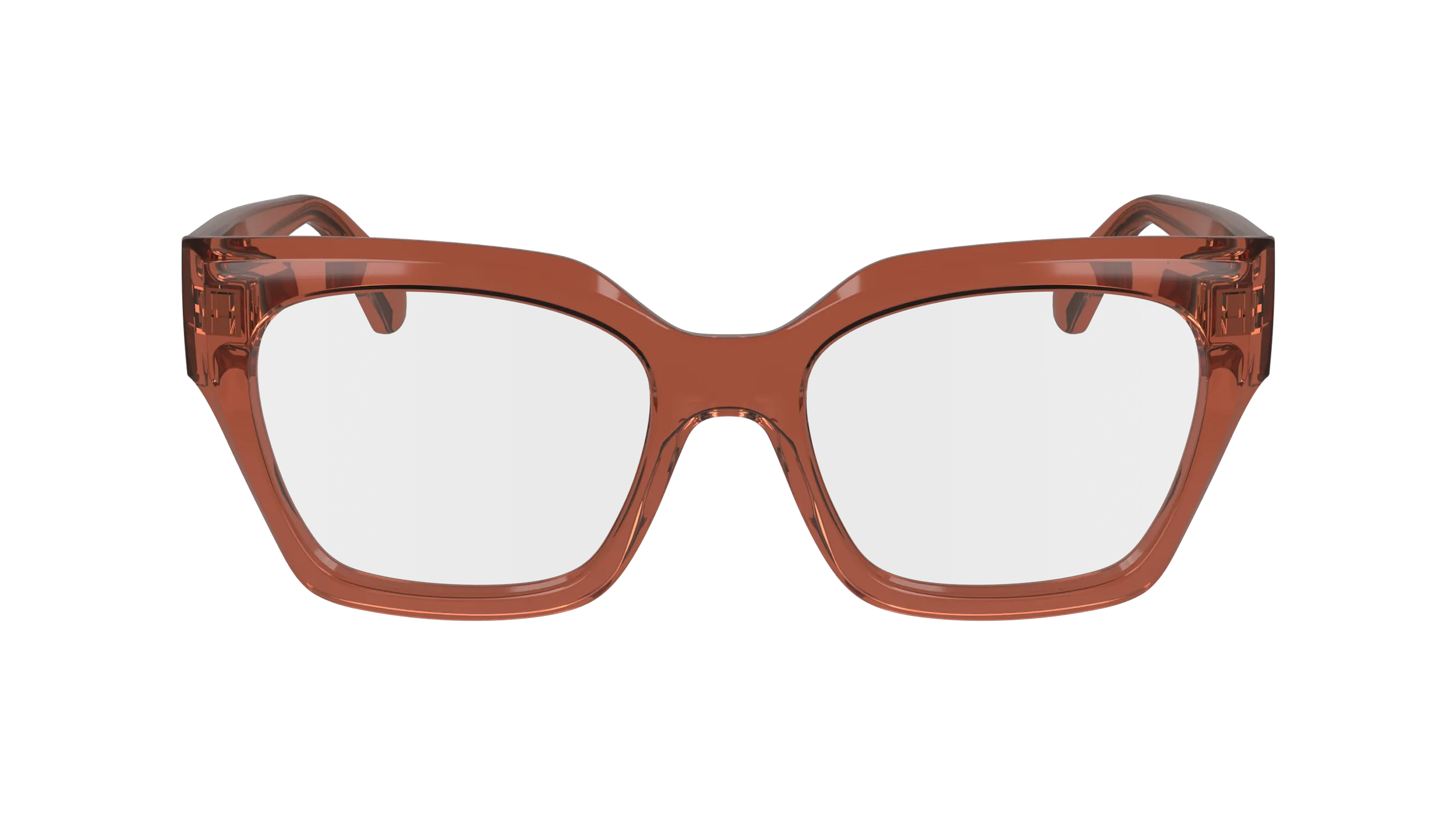 Ferragamo SF2983 224