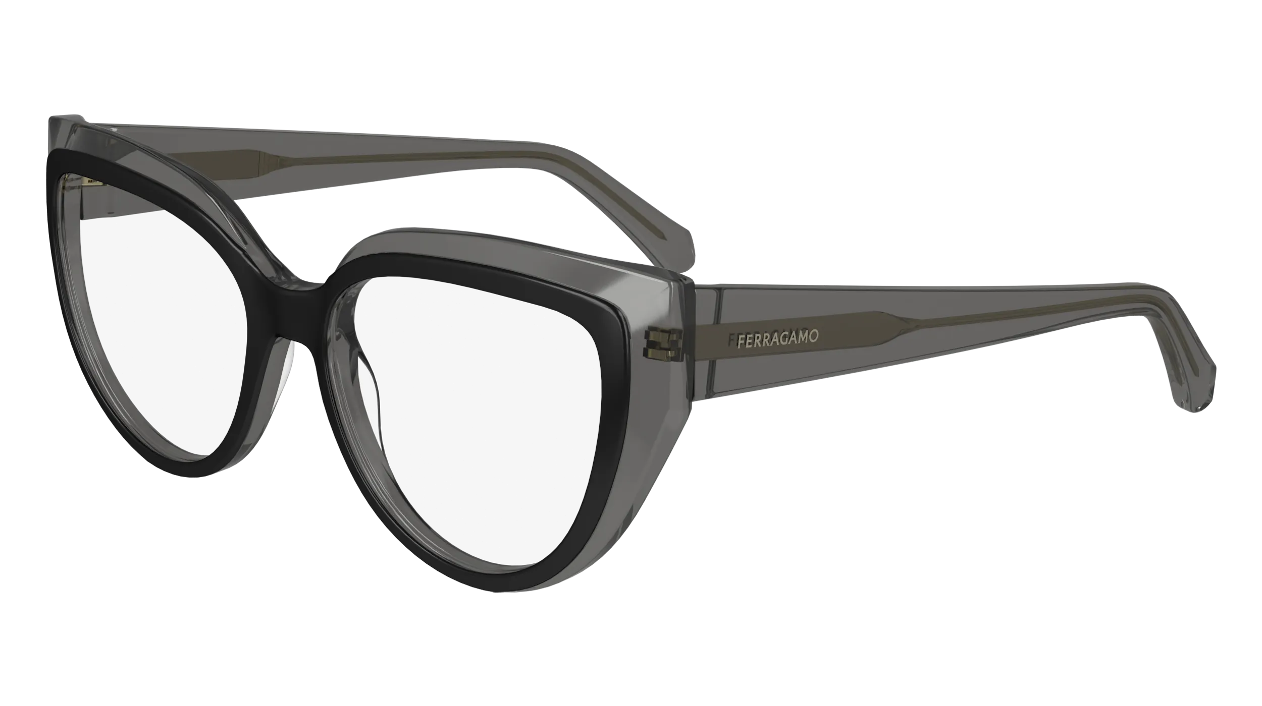 Ferragamo SF2984 24