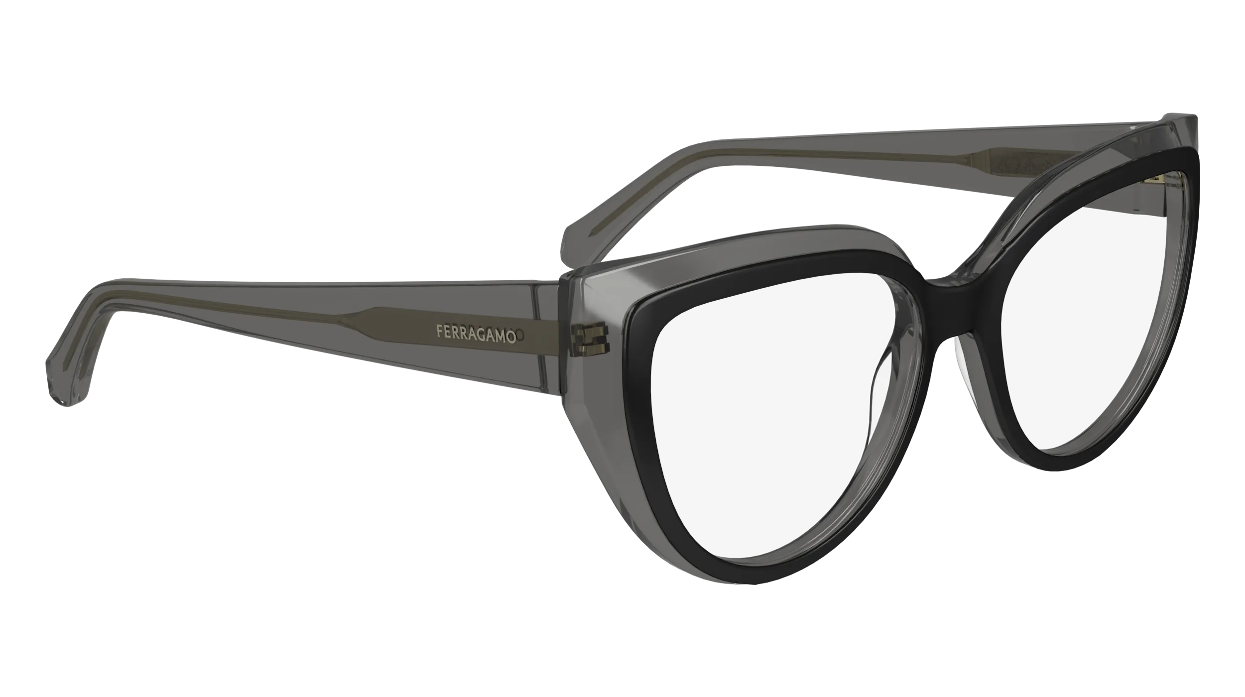 Ferragamo SF2984 24
