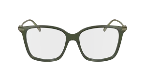 Ferragamo SF2992 320