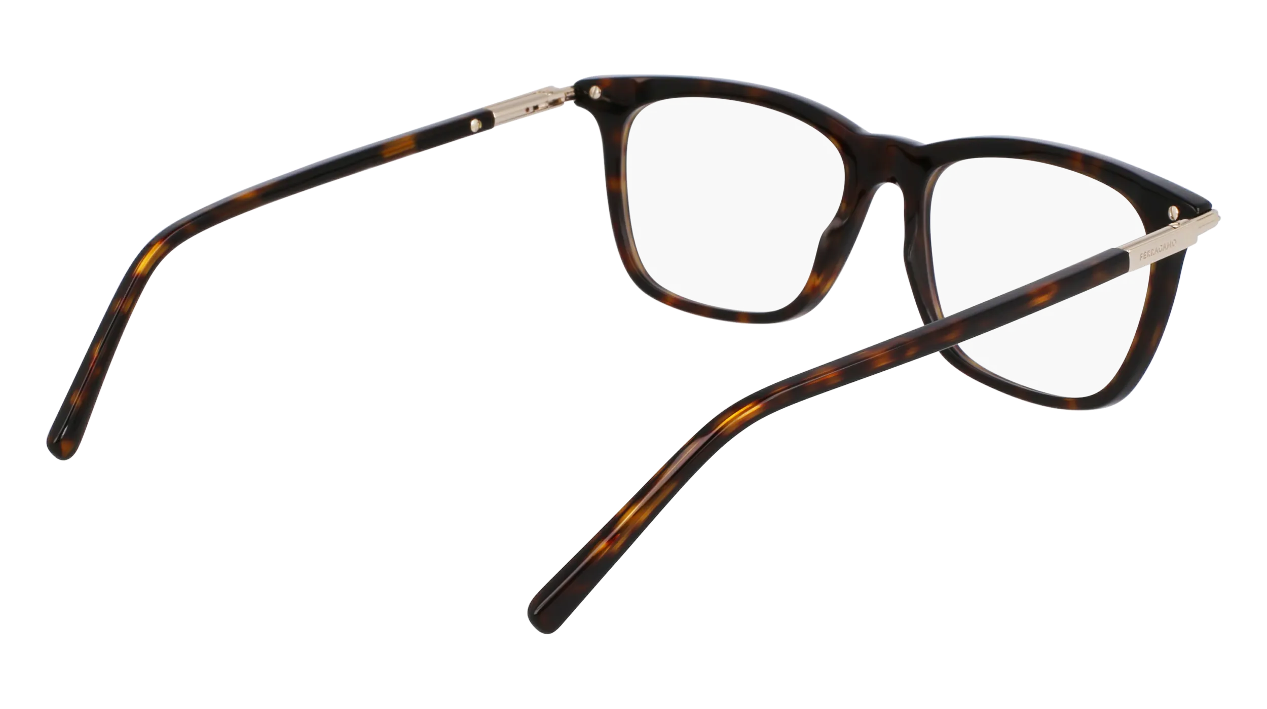 Ferragamo SF3007 242
