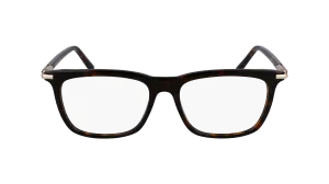 Ferragamo SF3007 242
