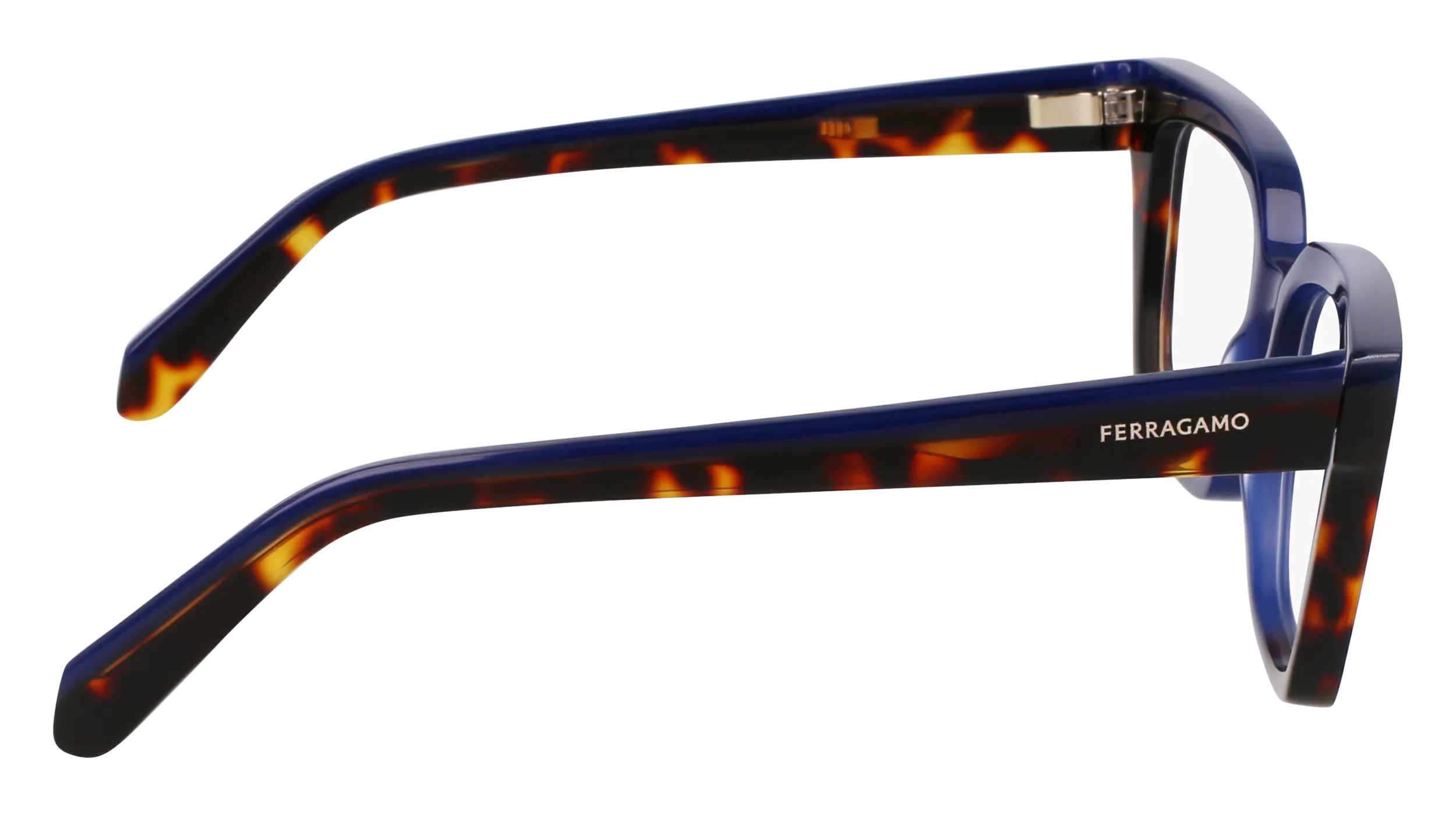 Ferragamo SF3010 424