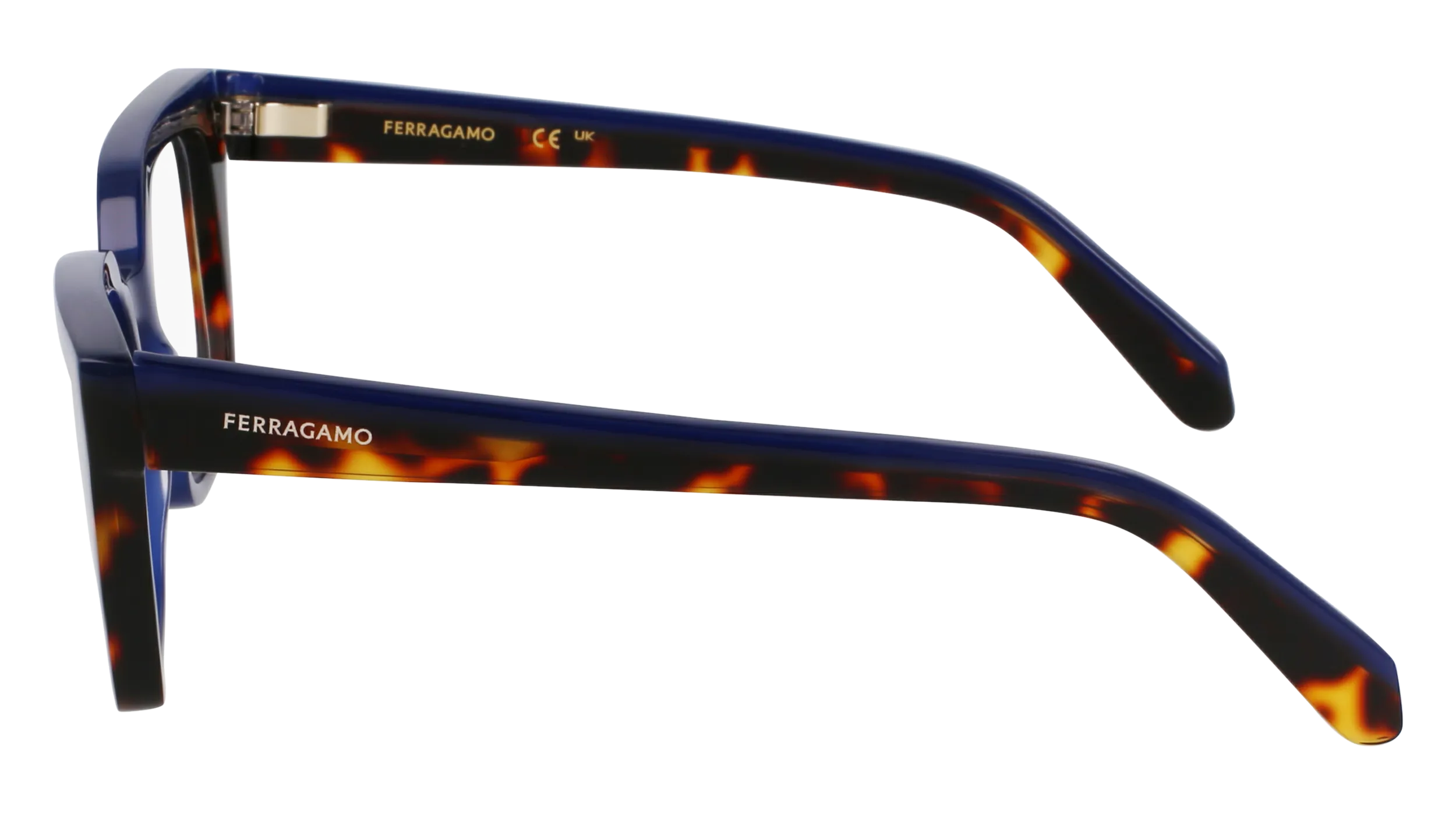 Ferragamo SF3010 424